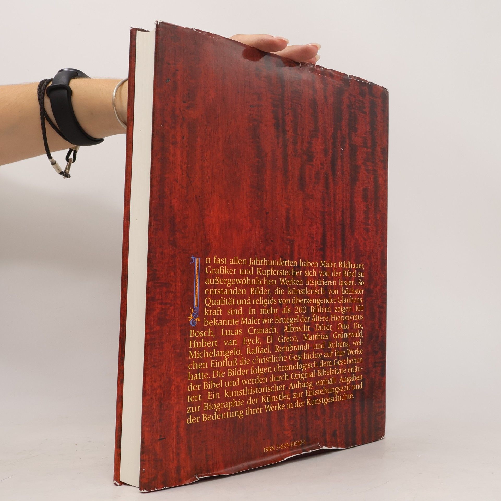 Autorenkollektiv Die Bibel in Bildern. Schatzkammer der Malerei