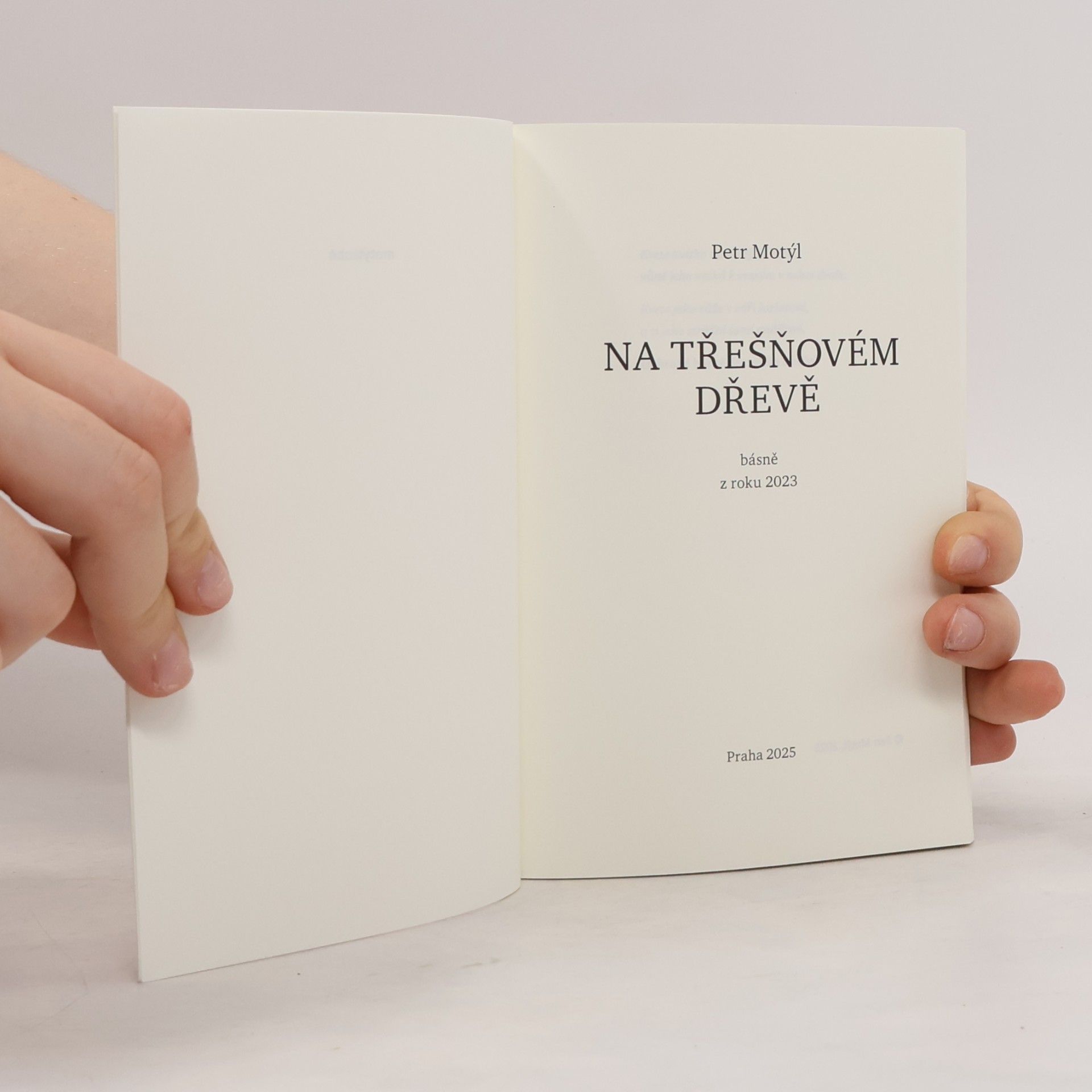 Petr Motýl Na třešňovém dřevě