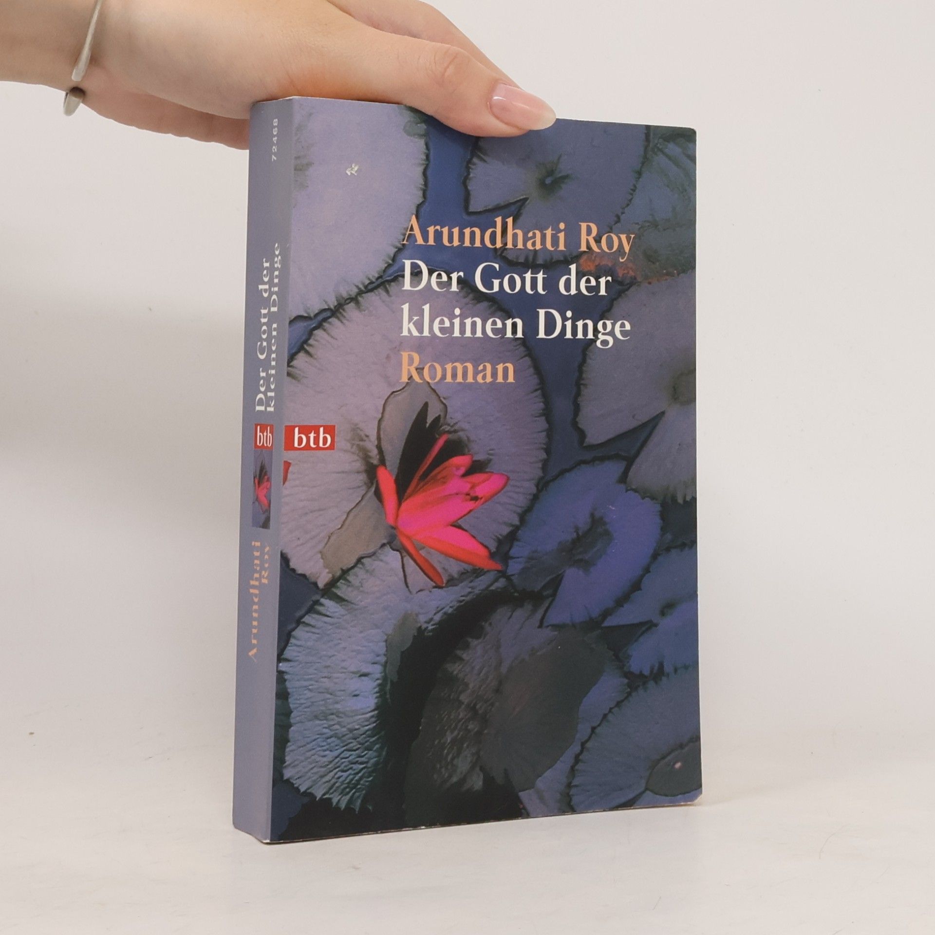 Arundhati Roy Der Gott der kleinen Dinge