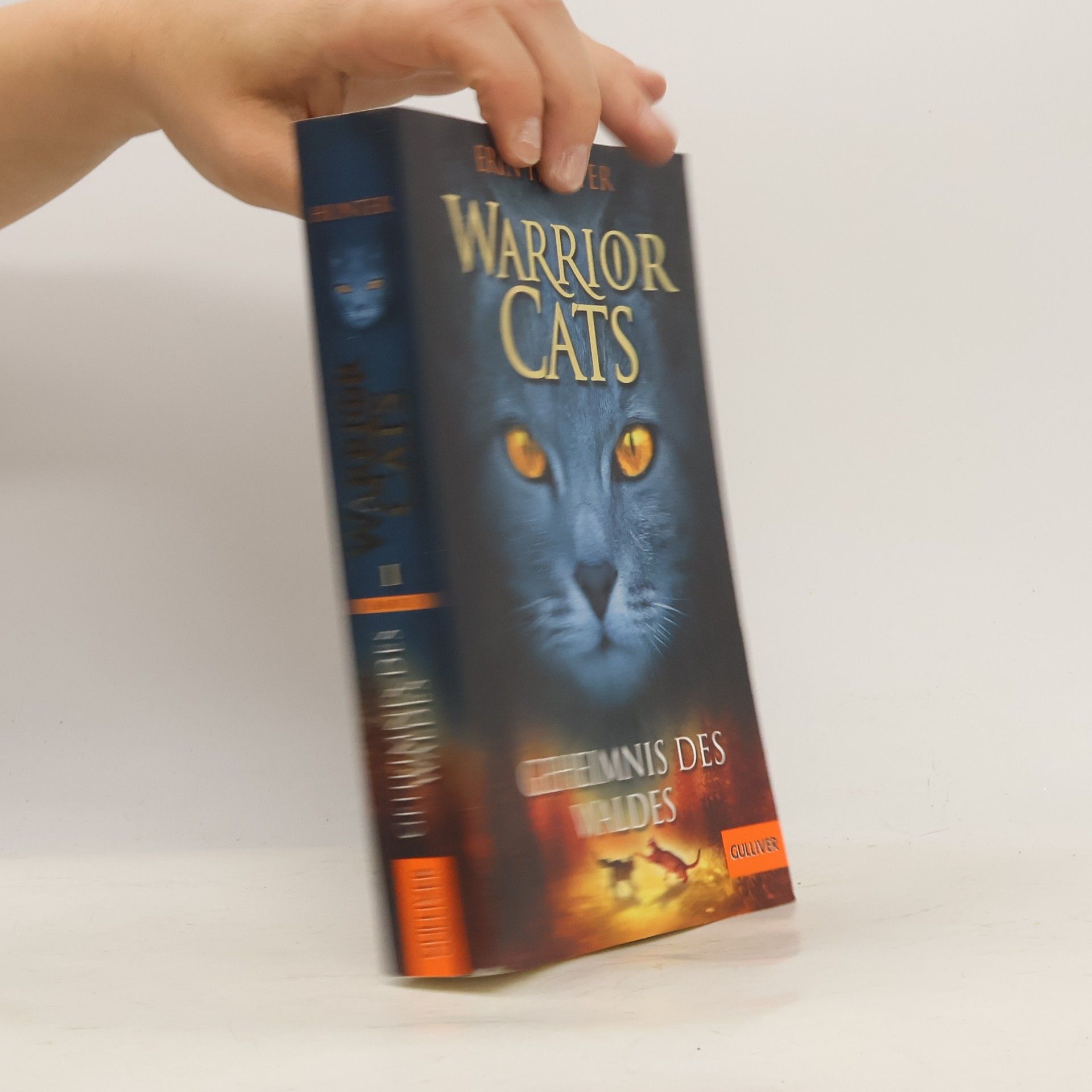 Erin Hunter Warrior Cats. Geheimnis des Waldes
