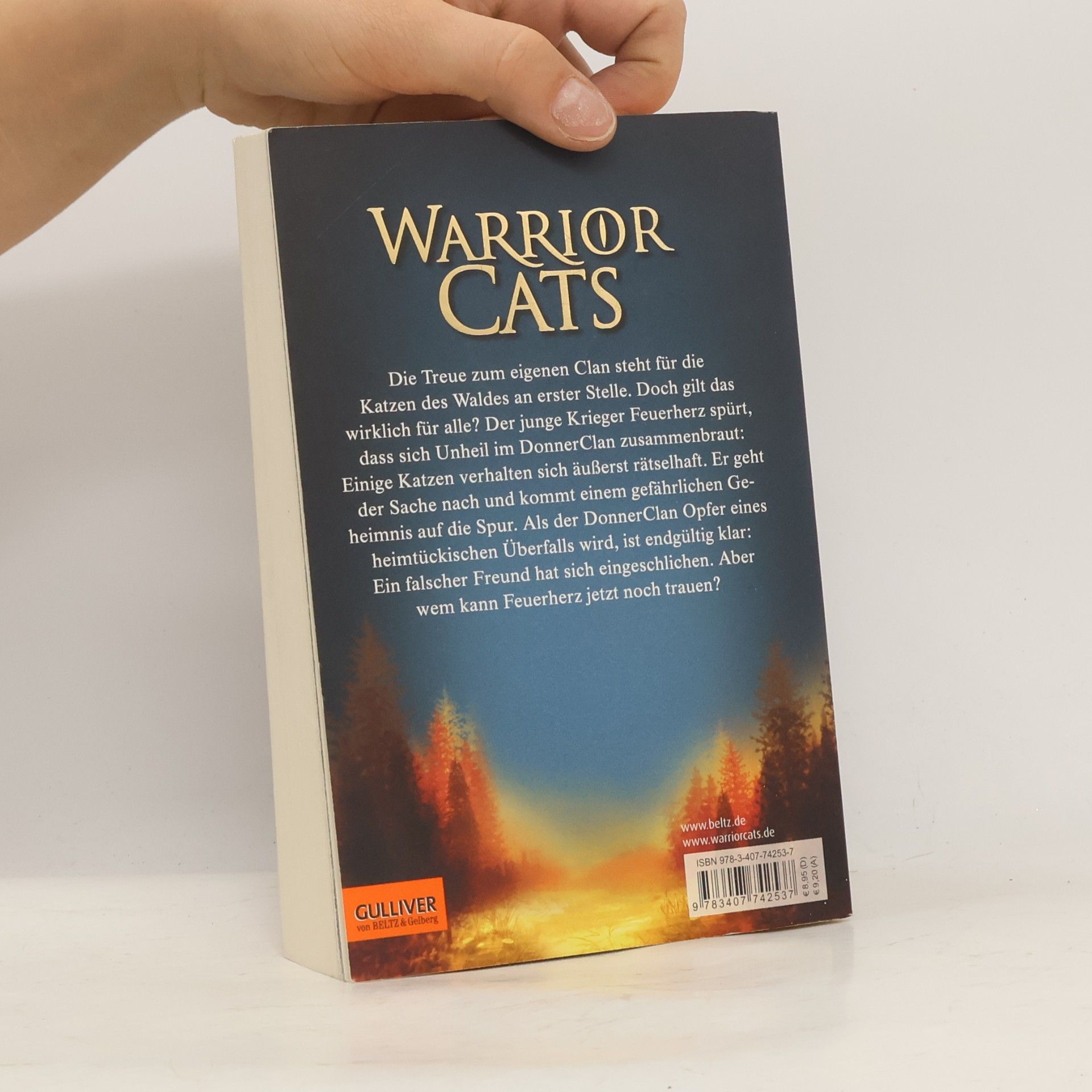 Erin Hunter Warrior Cats. Geheimnis des Waldes