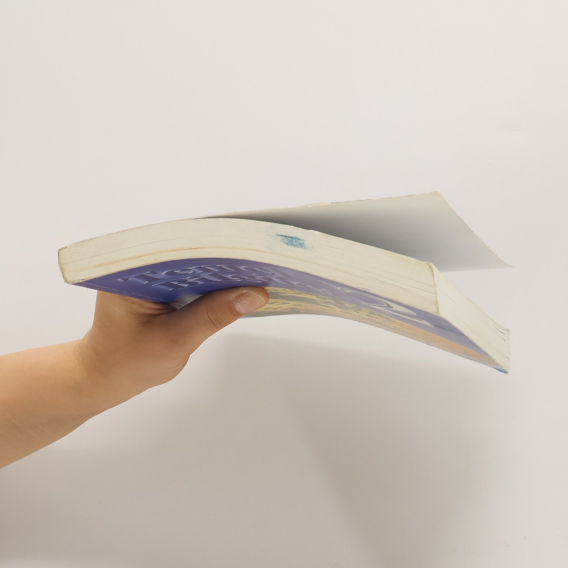 Autorenkollektiv Temel Bilgiler 2