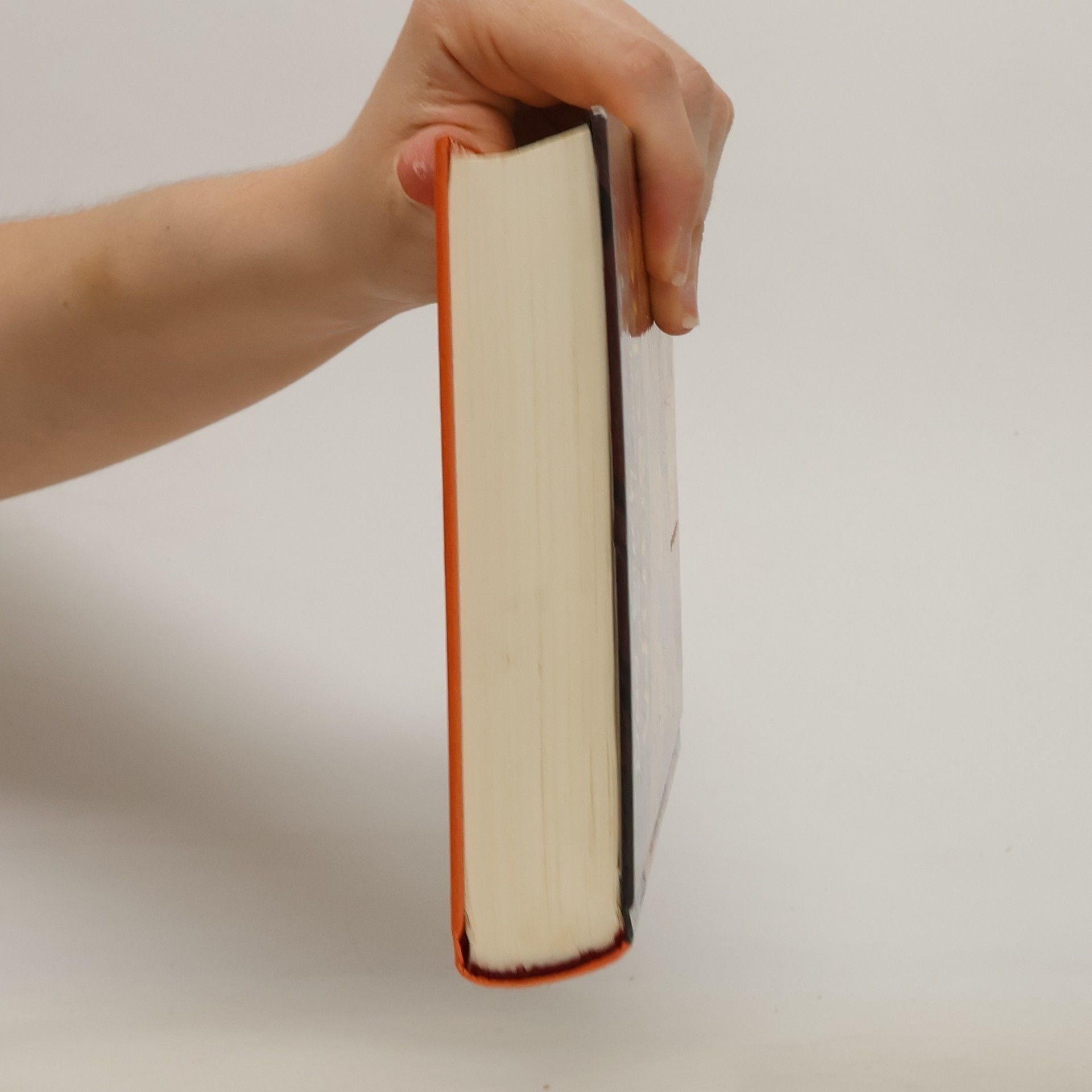 Angie Westhoff Das Buch der seltsamen Wünsche