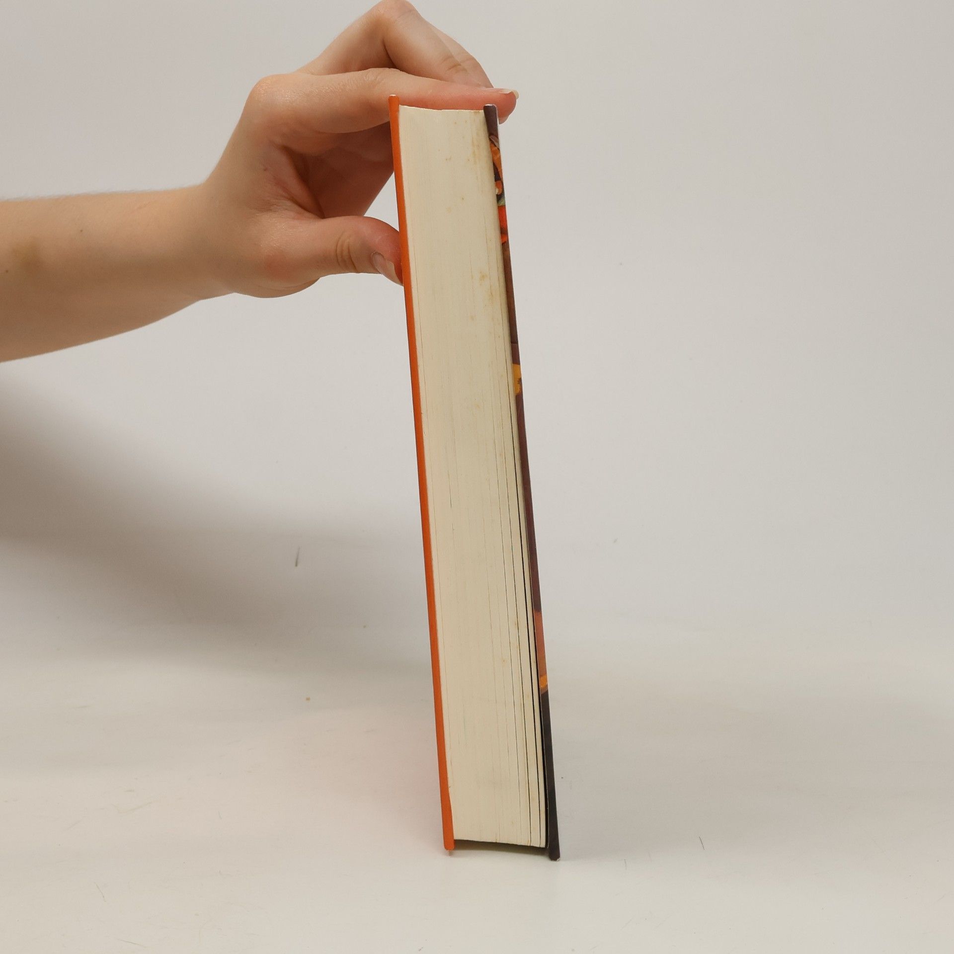Angie Westhoff Das Buch der seltsamen Wünsche