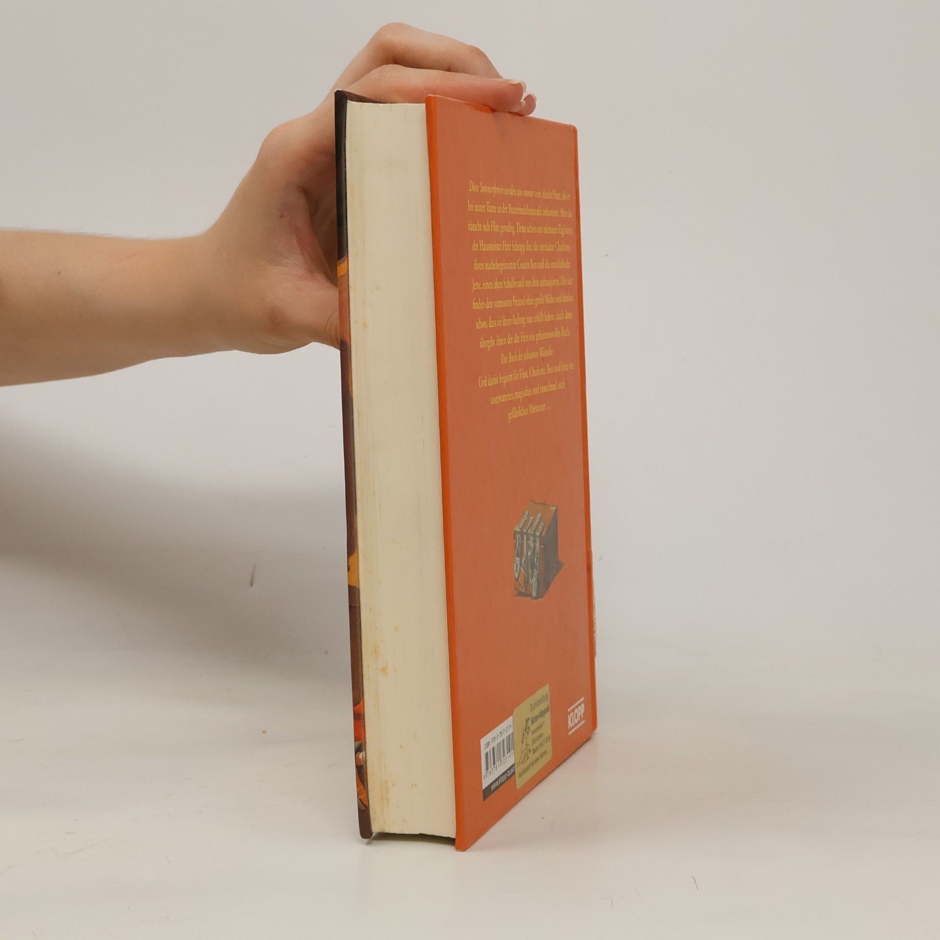 Angie Westhoff Das Buch der seltsamen Wünsche
