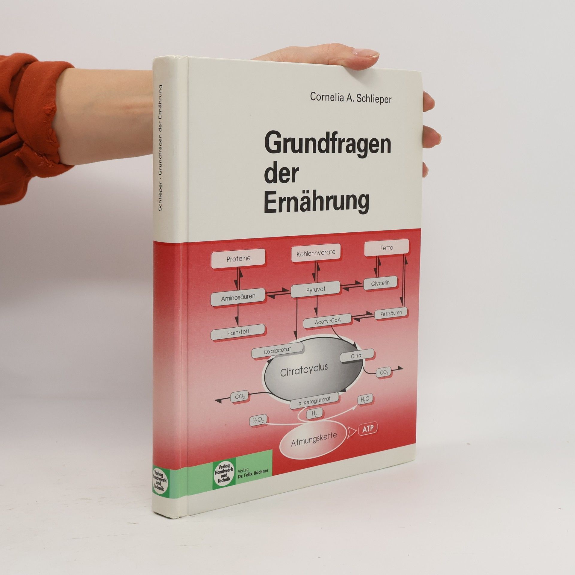 Grundfragen der Ernährung