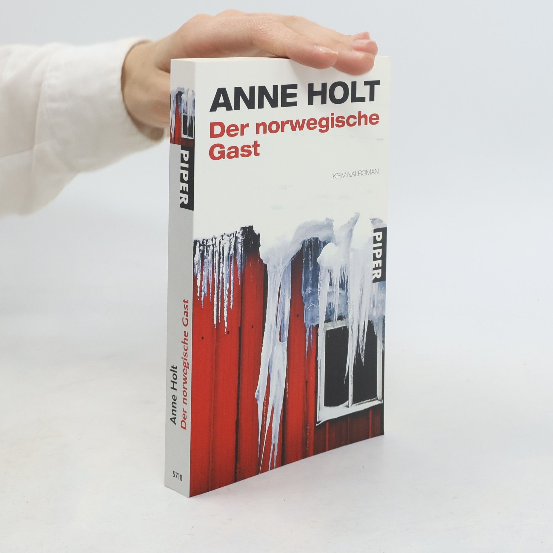 Anne Holt Der norwegische Gast
