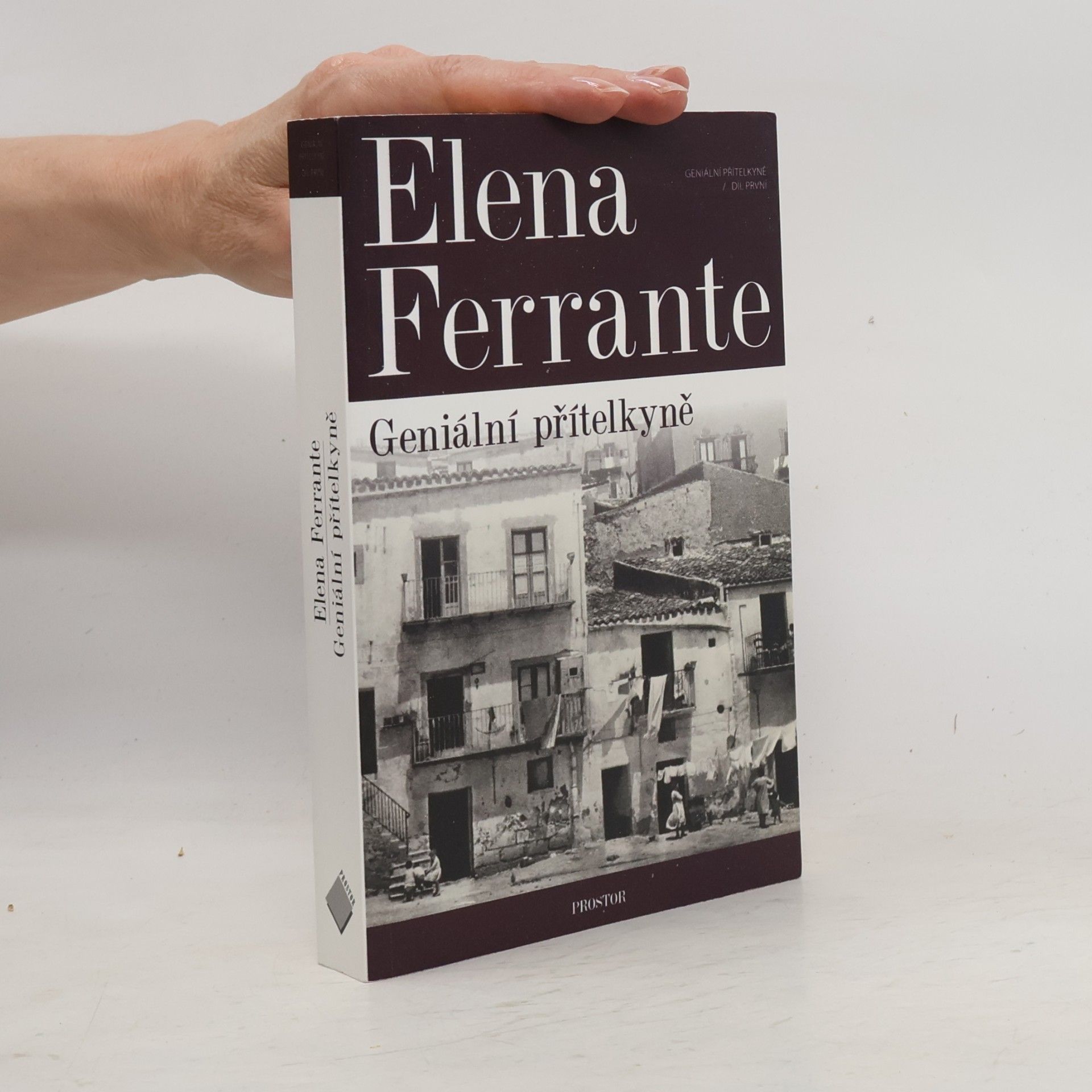Elena Ferrante Geniální přítelkyně 1. Dětství a dospívání