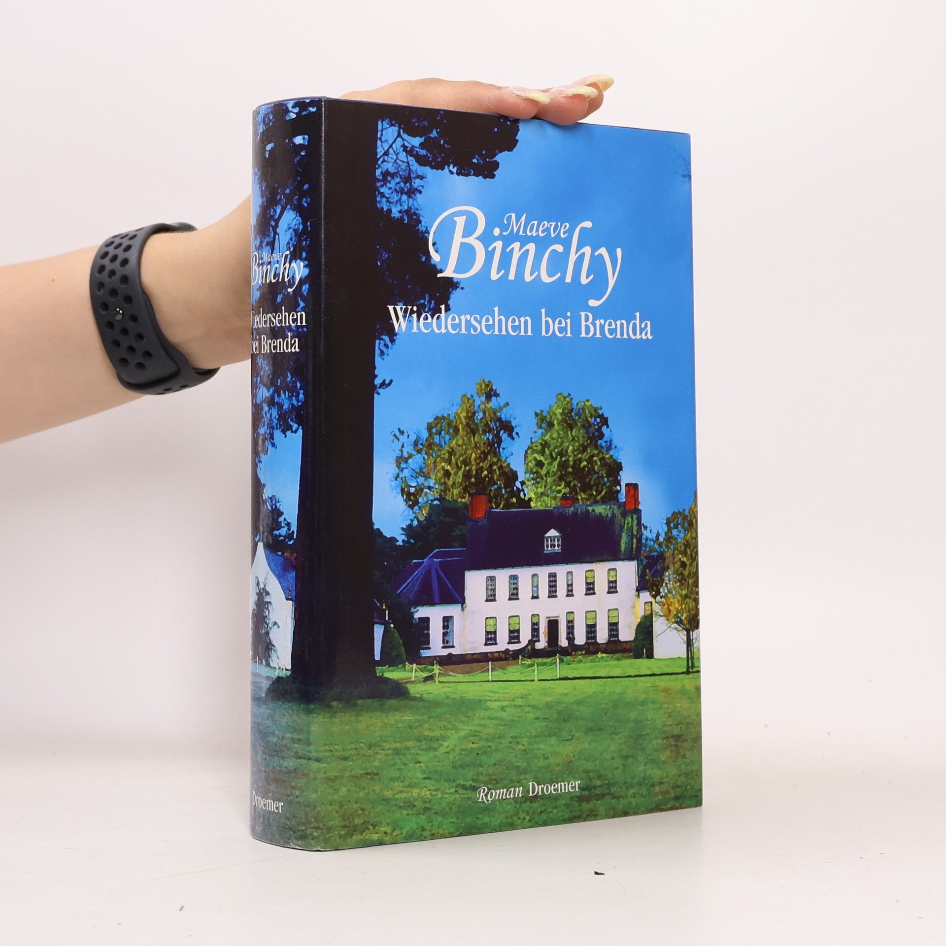Maeve Binchy Wiedersehen bei Brenda