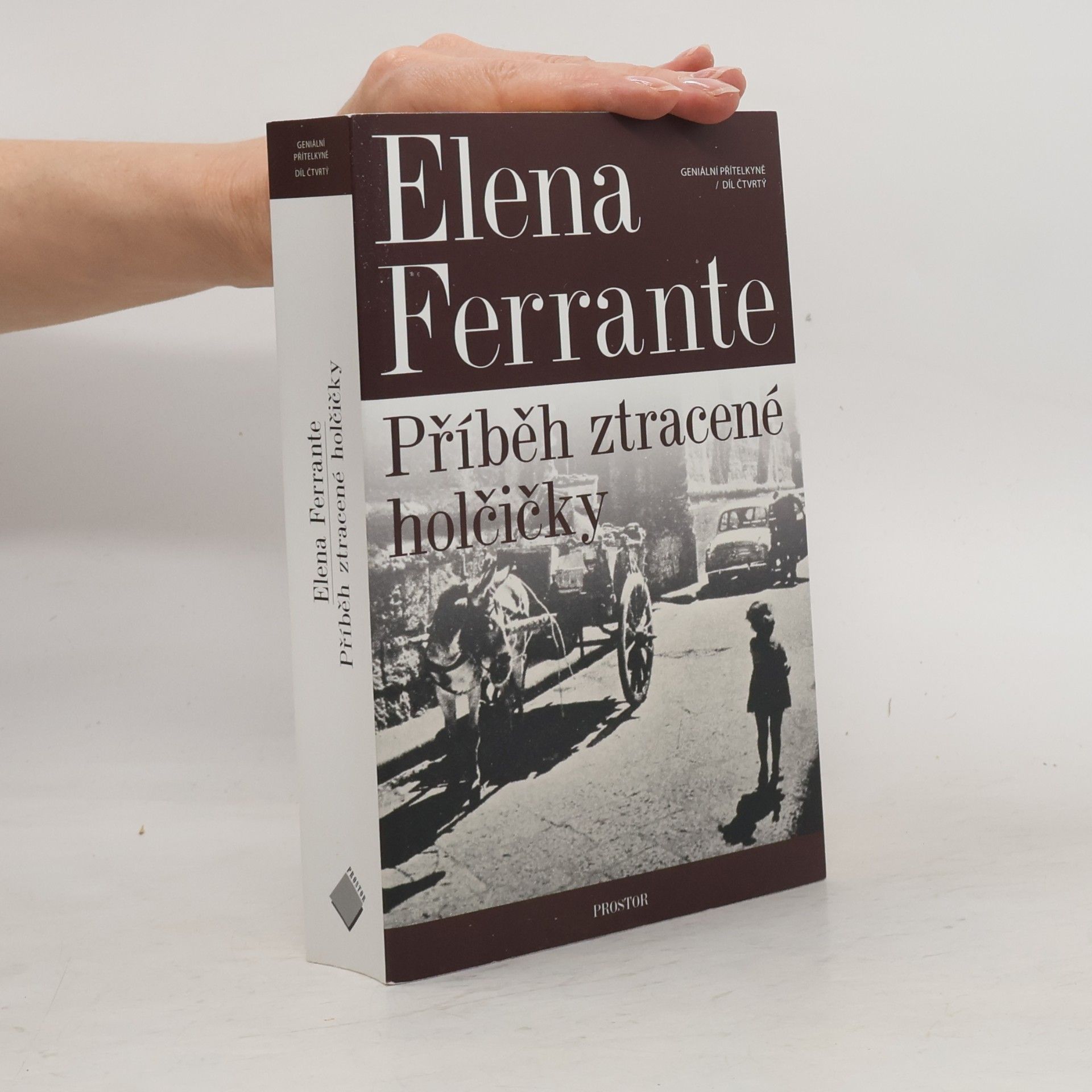Elena Ferrante Příběh ztracené holčičky. Geniální přítelkyně. 4. díl