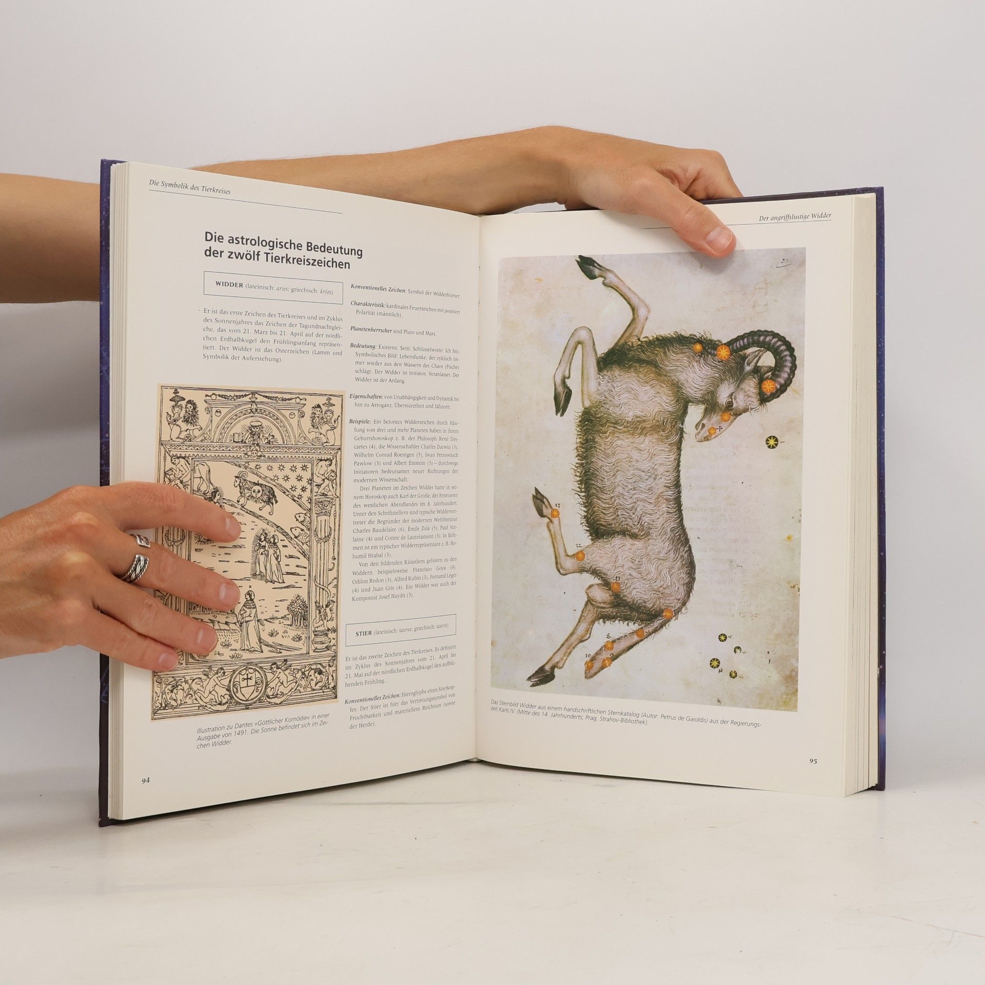 Milan Špůrek Das Grosse Handbuch der Astrologie
