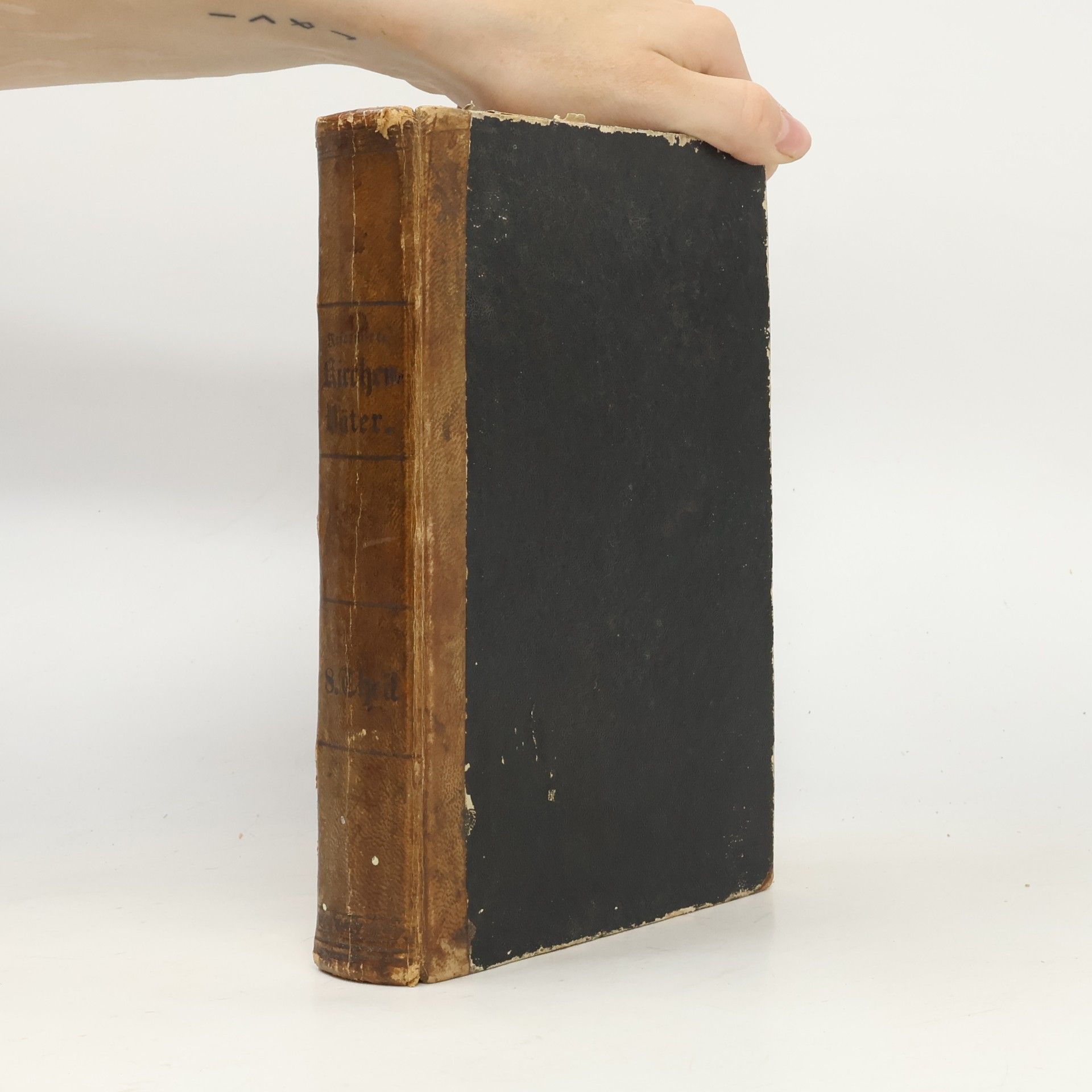 Leben und ausgewählte Schriften der Väter und Begründer der reformirten Kirche VIII. C. Olevianus & J. Ursinus