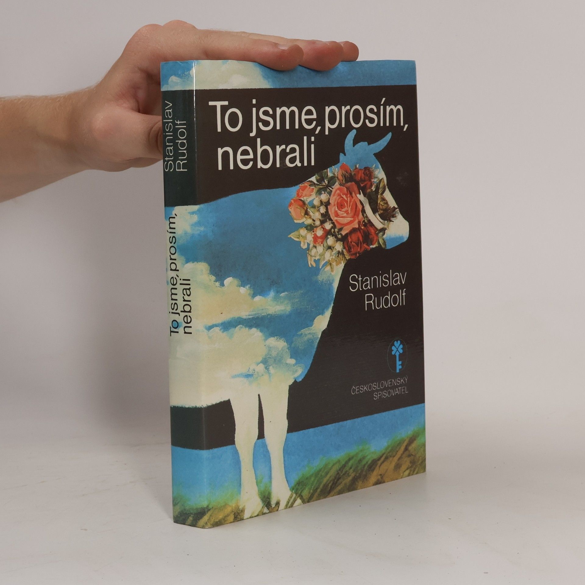 To jsme, prosím, nebrali