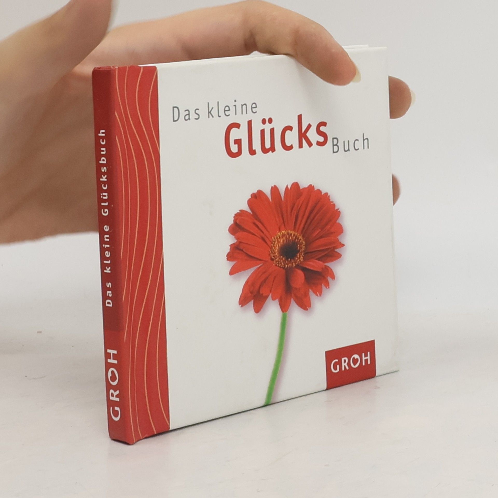 Celeste Marin Das kleine Glücks-Buch