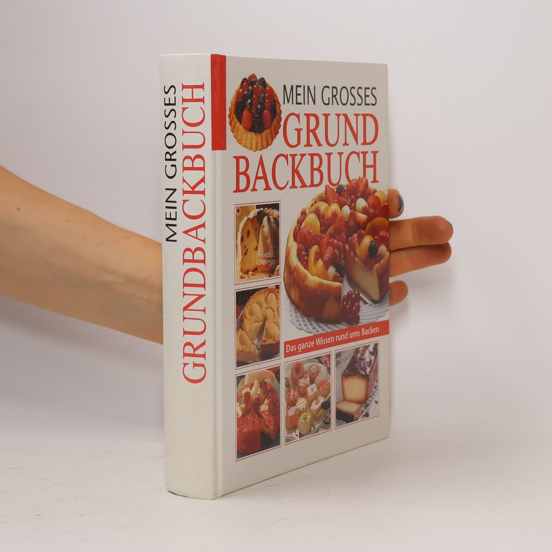 Heidilore Häusler Mein grosses Grundbackbuch