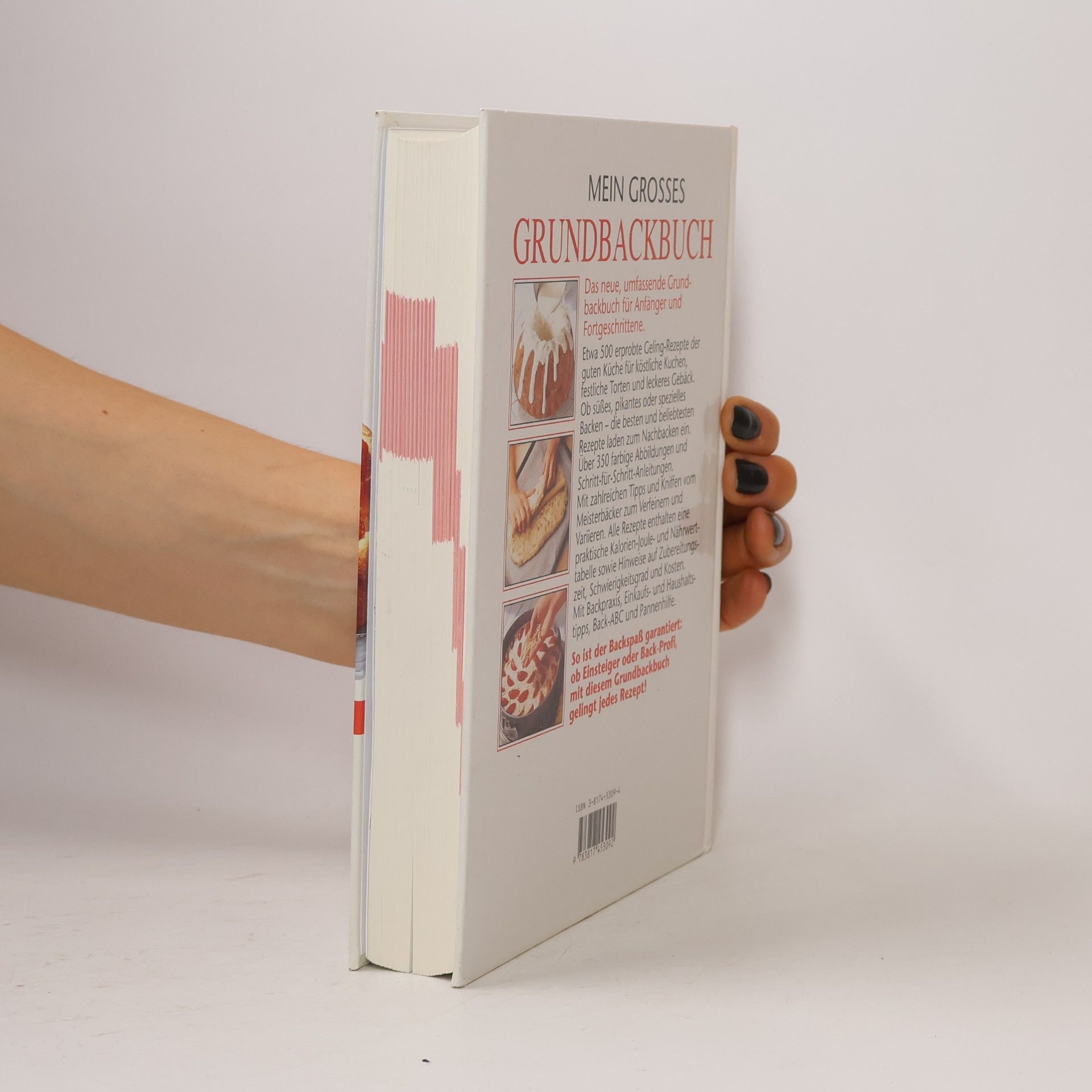 Heidilore Häusler Mein grosses Grundbackbuch