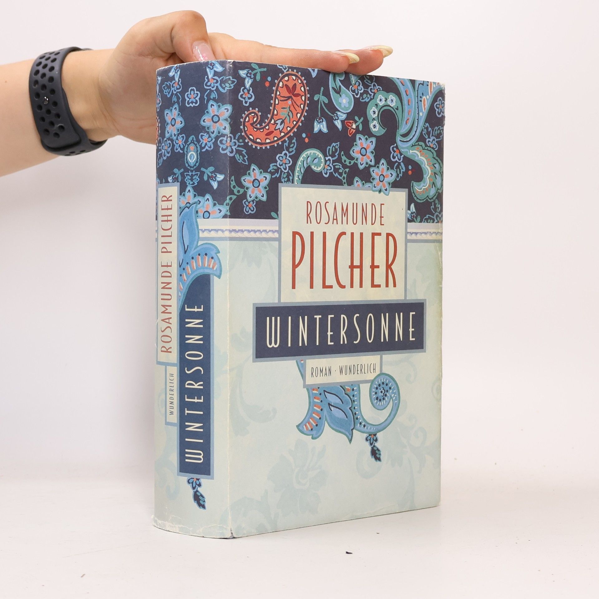 Rosamunde Pilcher Wintersonne