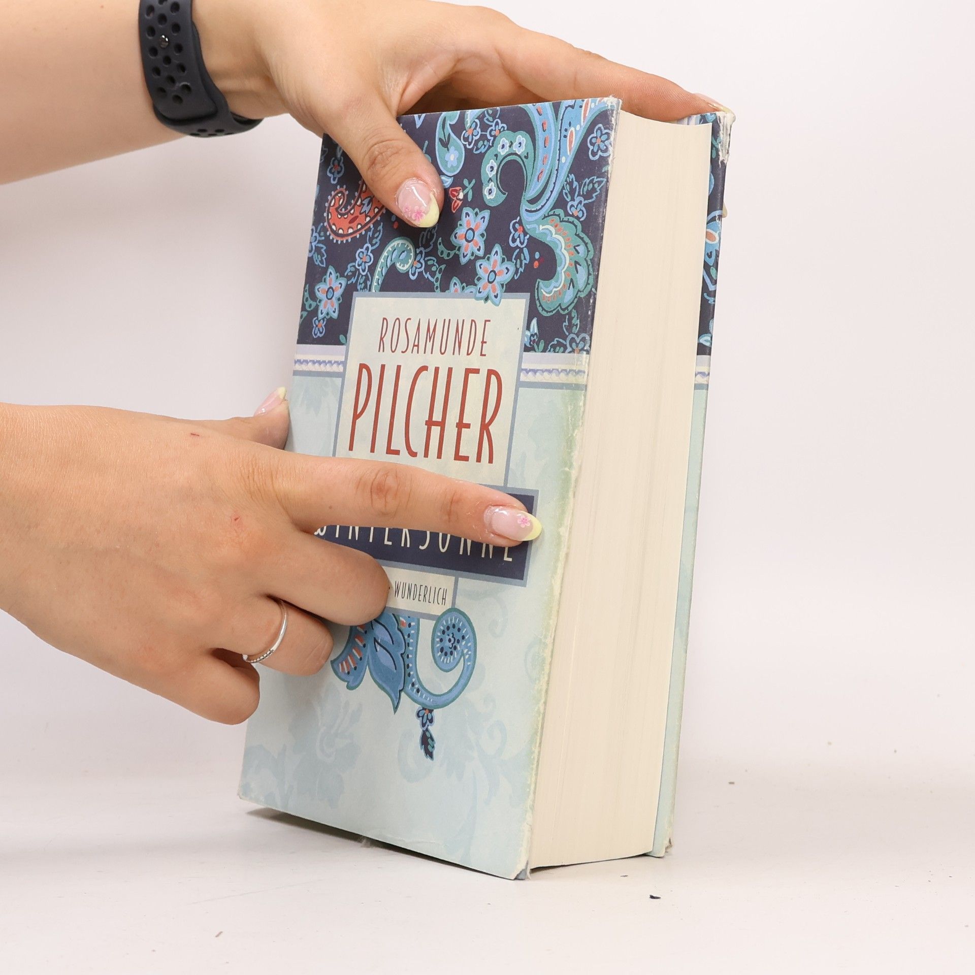 Rosamunde Pilcher Wintersonne