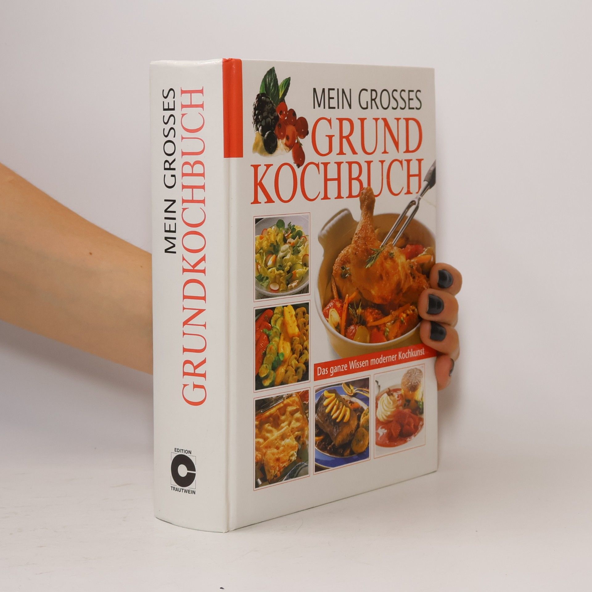Kolektiv autorů Mein grosses Grundkochbuch
