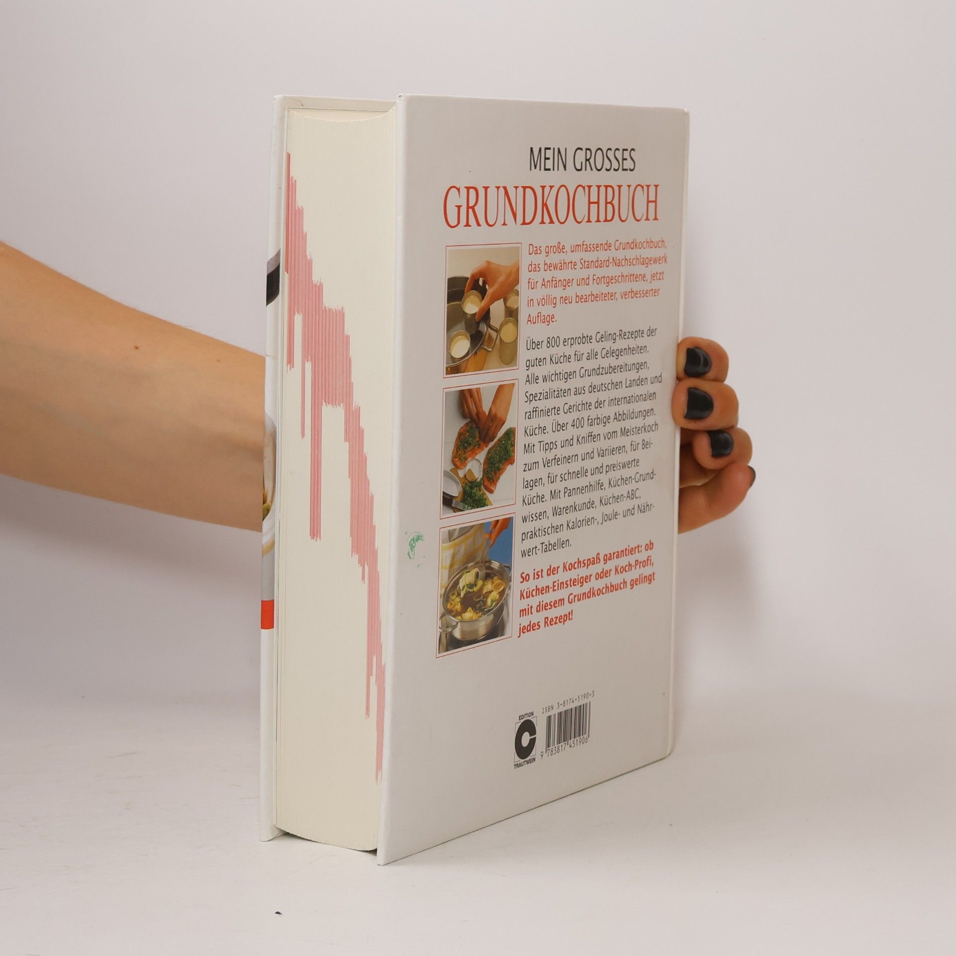 Kolektiv autorů Mein grosses Grundkochbuch