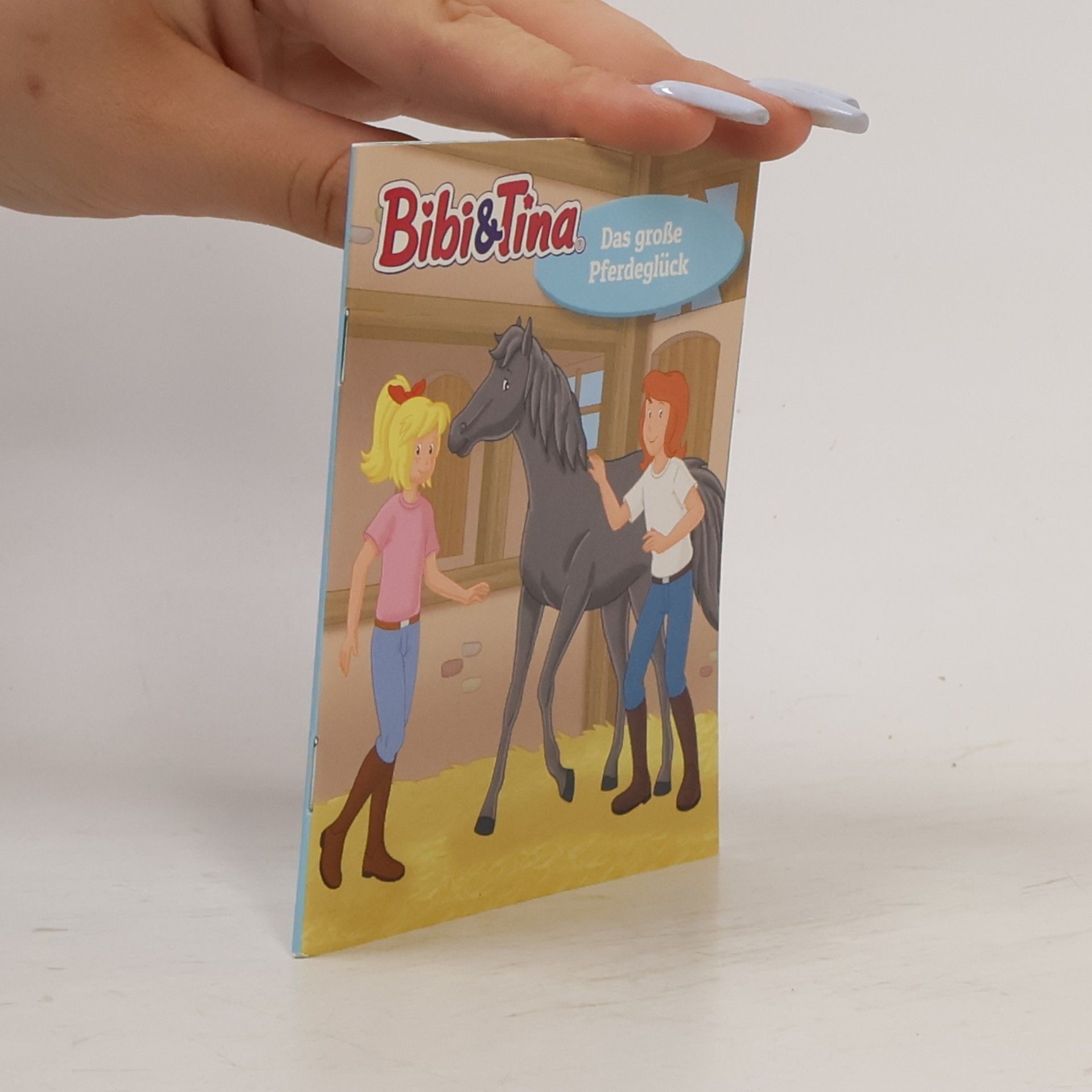 kolektiv Bibi & Tina. Das große Pferdeglück
