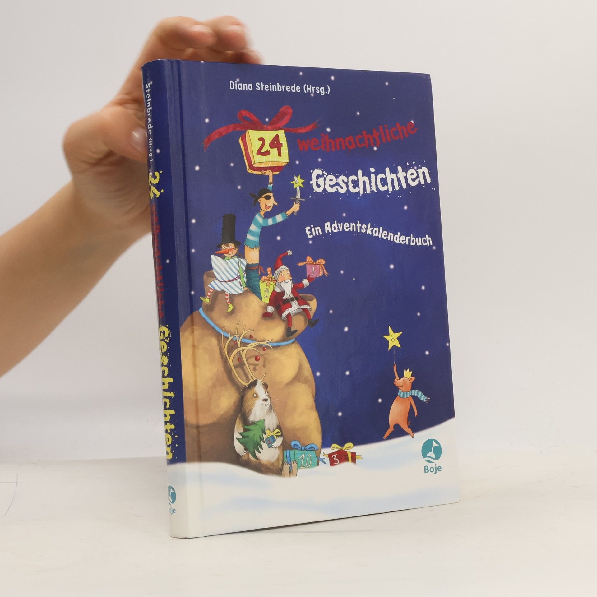 Diana Steinbrede 24 weihnachtliche Geschichten