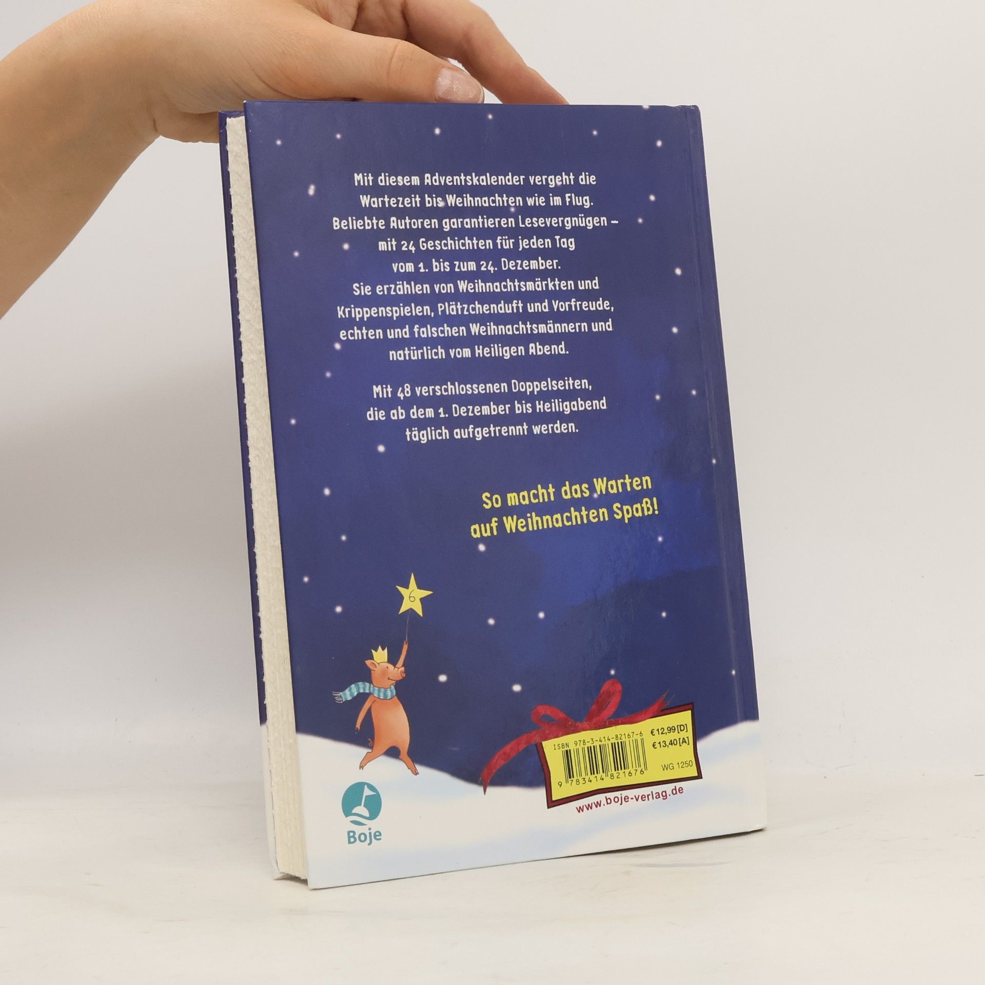 Diana Steinbrede 24 weihnachtliche Geschichten