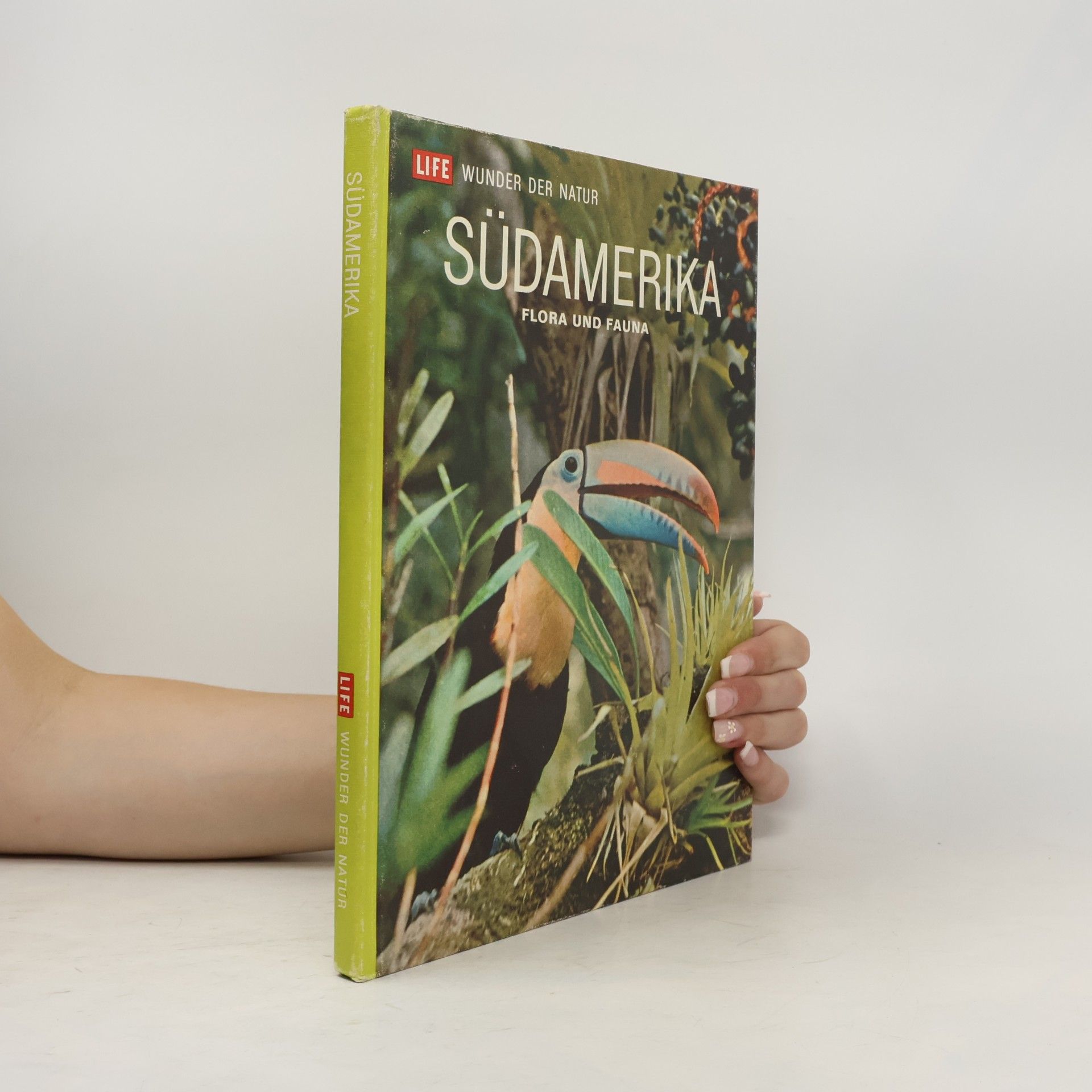 Autorenkollektiv Südamerika. Flora und Fauna