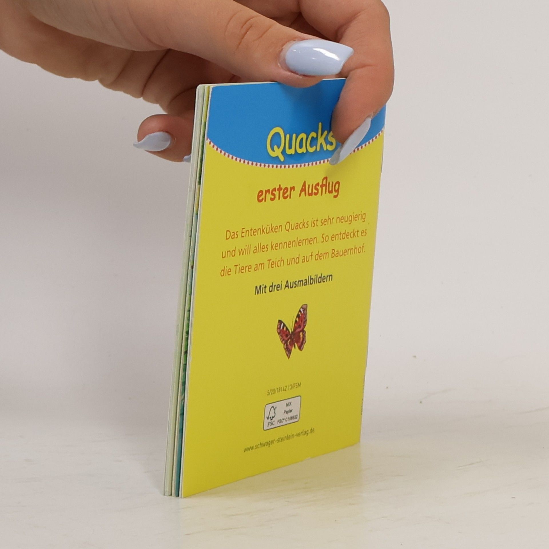 Autorenkollektiv Quacks erster Ausflug