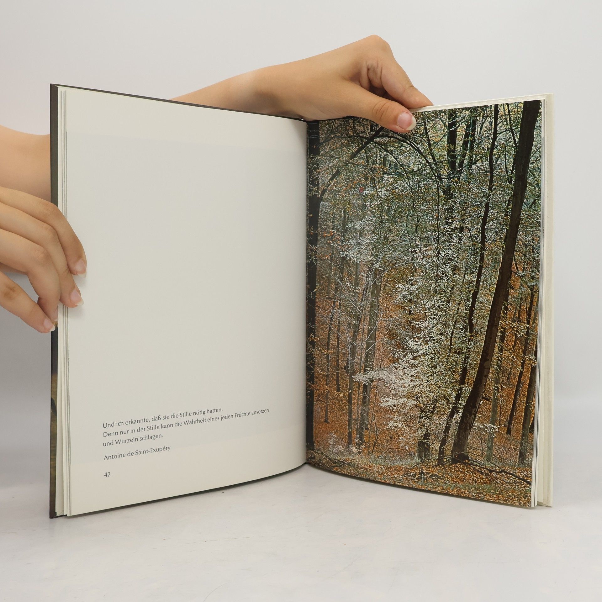 AA.VV. Laßt uns das Leben wieder leise lernen