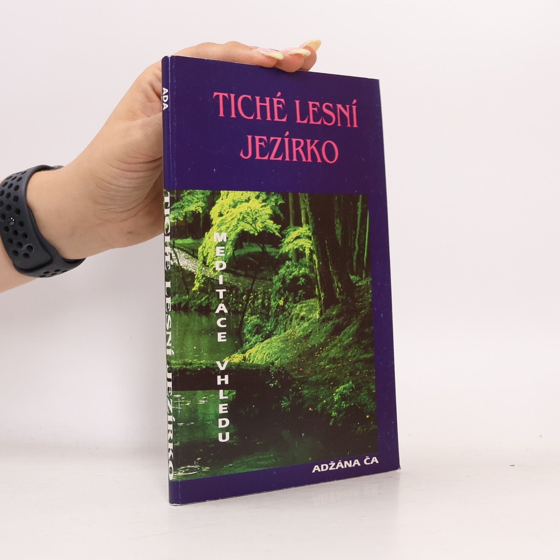 Paul Breiter Tiché lesní jezírko. Meditace vhledu učitele Adžána Ča