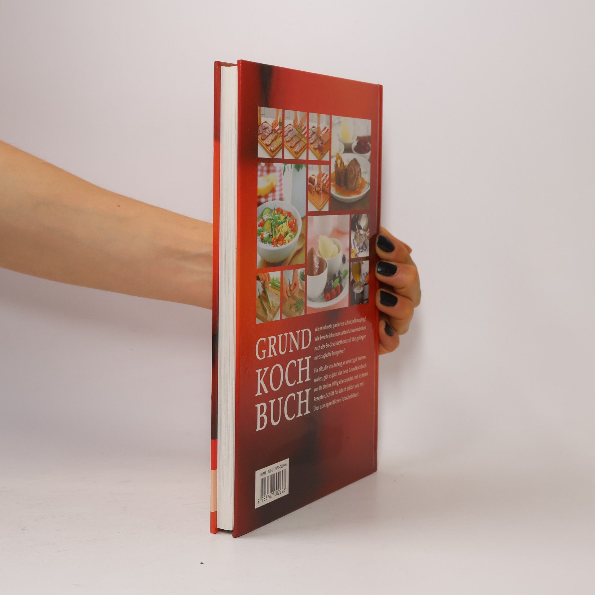 Anke Rabeler Dr.-Oetker-Grund-Kochbuch
