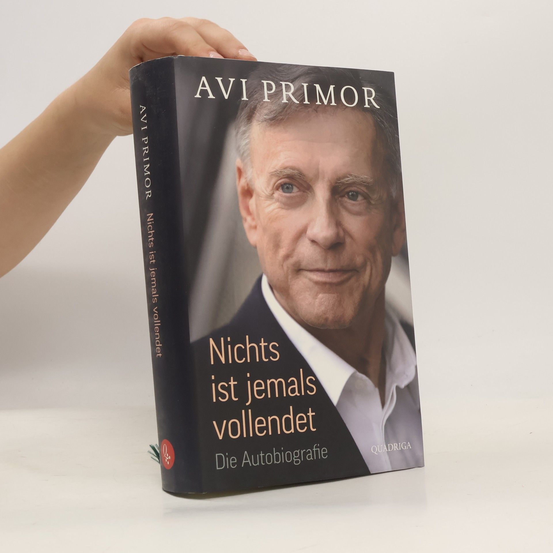 Avi Primor Nichts ist jemals vollendet