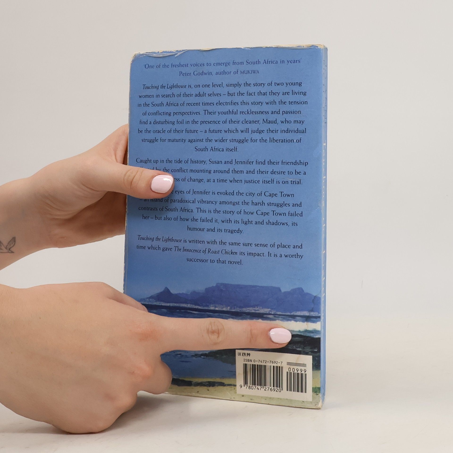 Jo Anne Richards Touching the Lighthouse