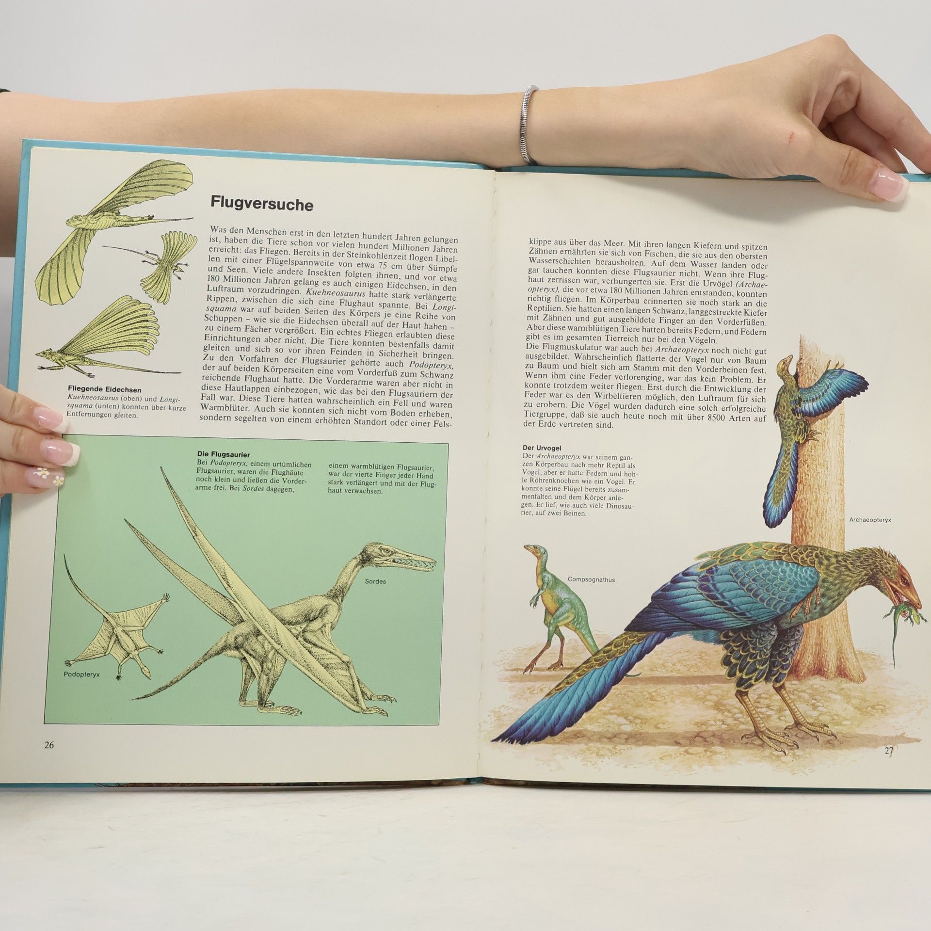 Lambert B. Halstead Mehr Wissen über Dinosaurier