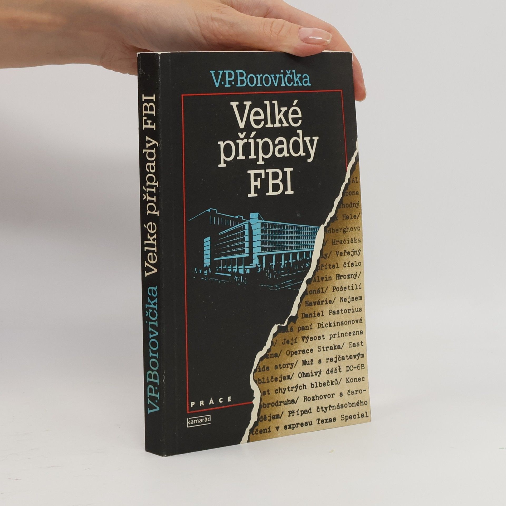 Velké případy FBI