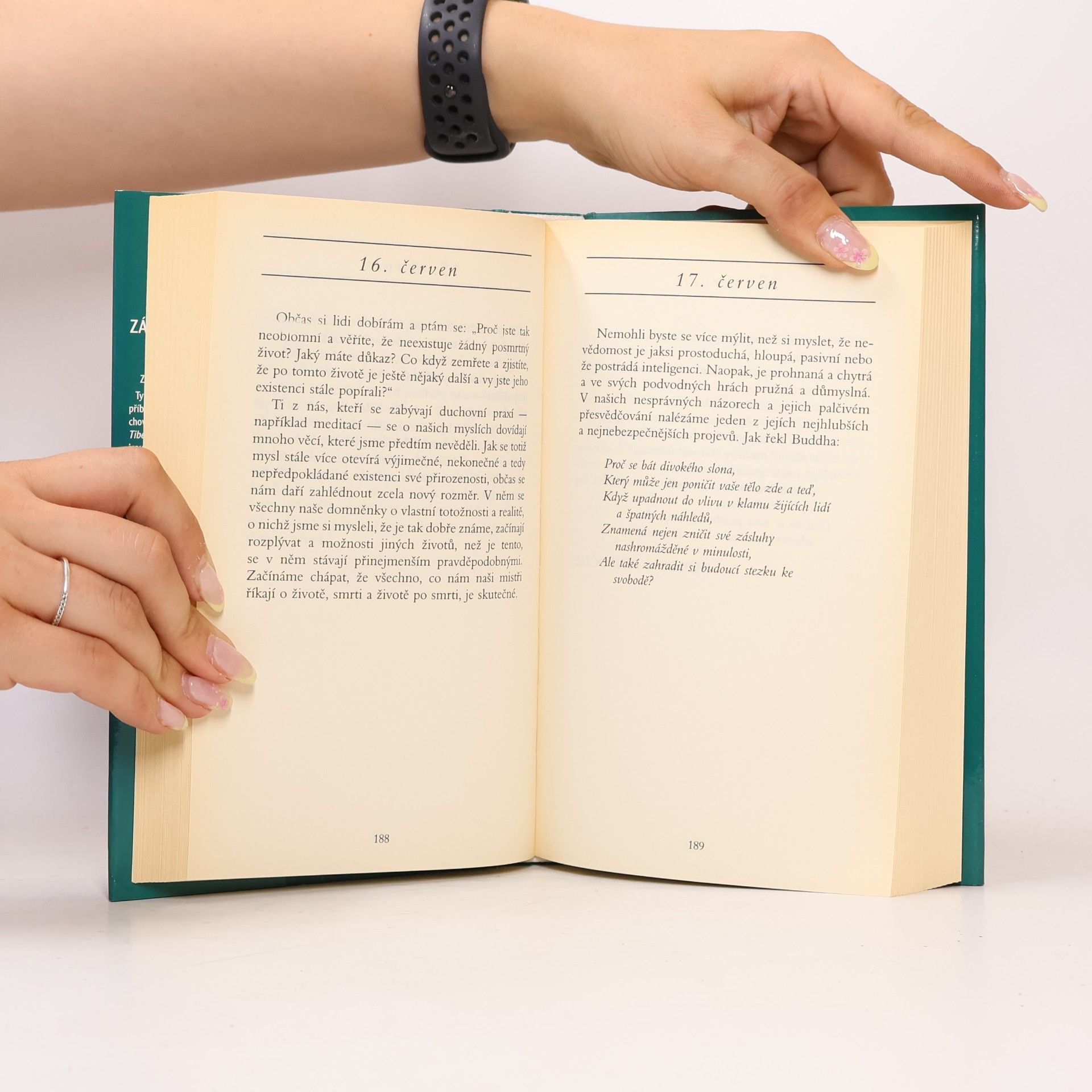 Sogyal Rinpoche Záblesky vědomí : rozjímání o žití a umírání pro každý den