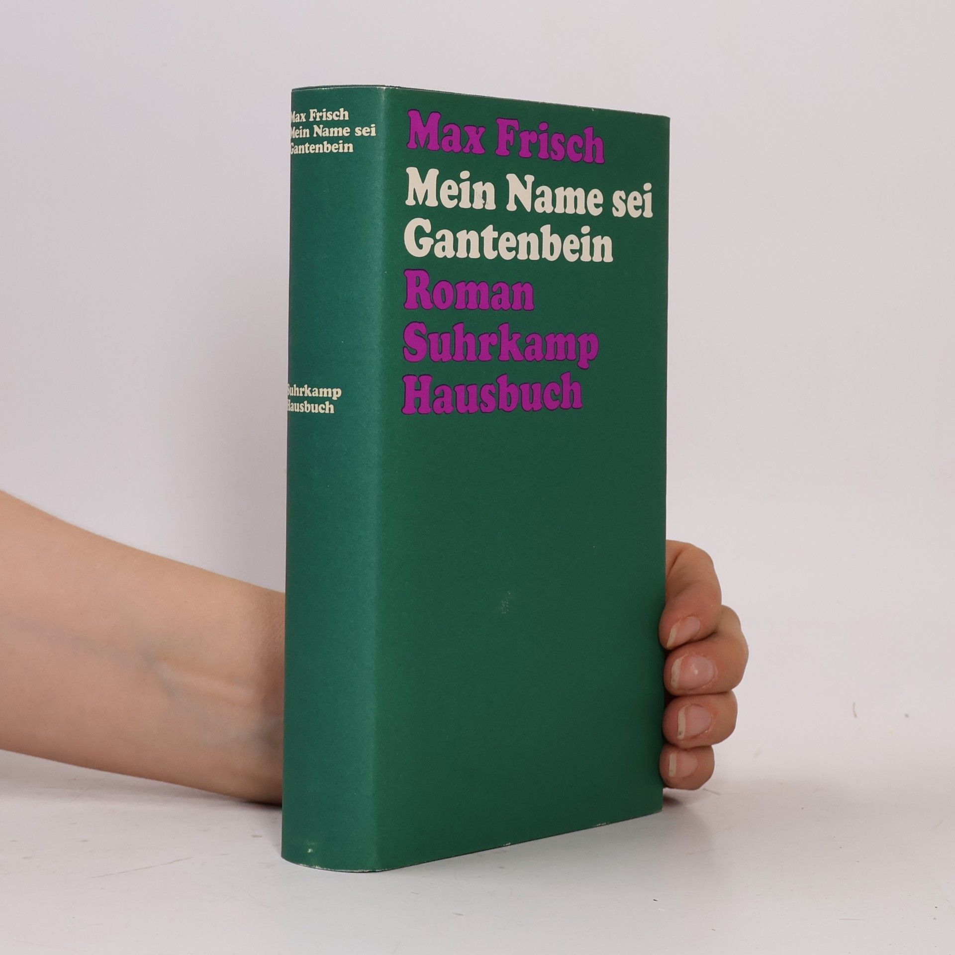 Max Frisch Mein Name sei Gantenbein