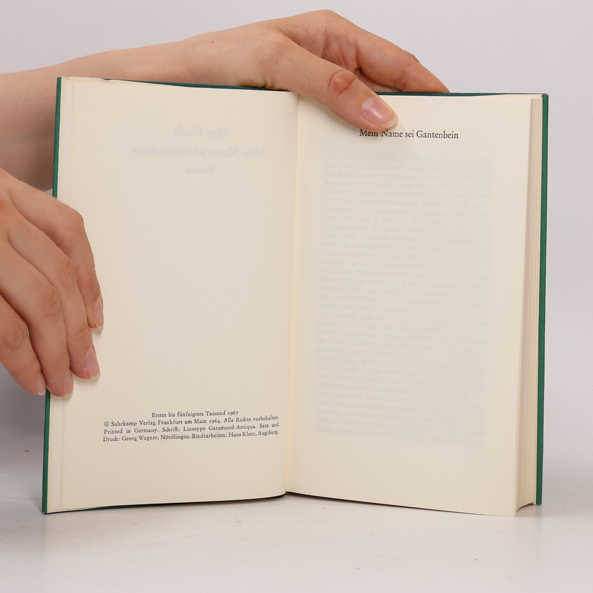 Max Frisch Mein Name sei Gantenbein