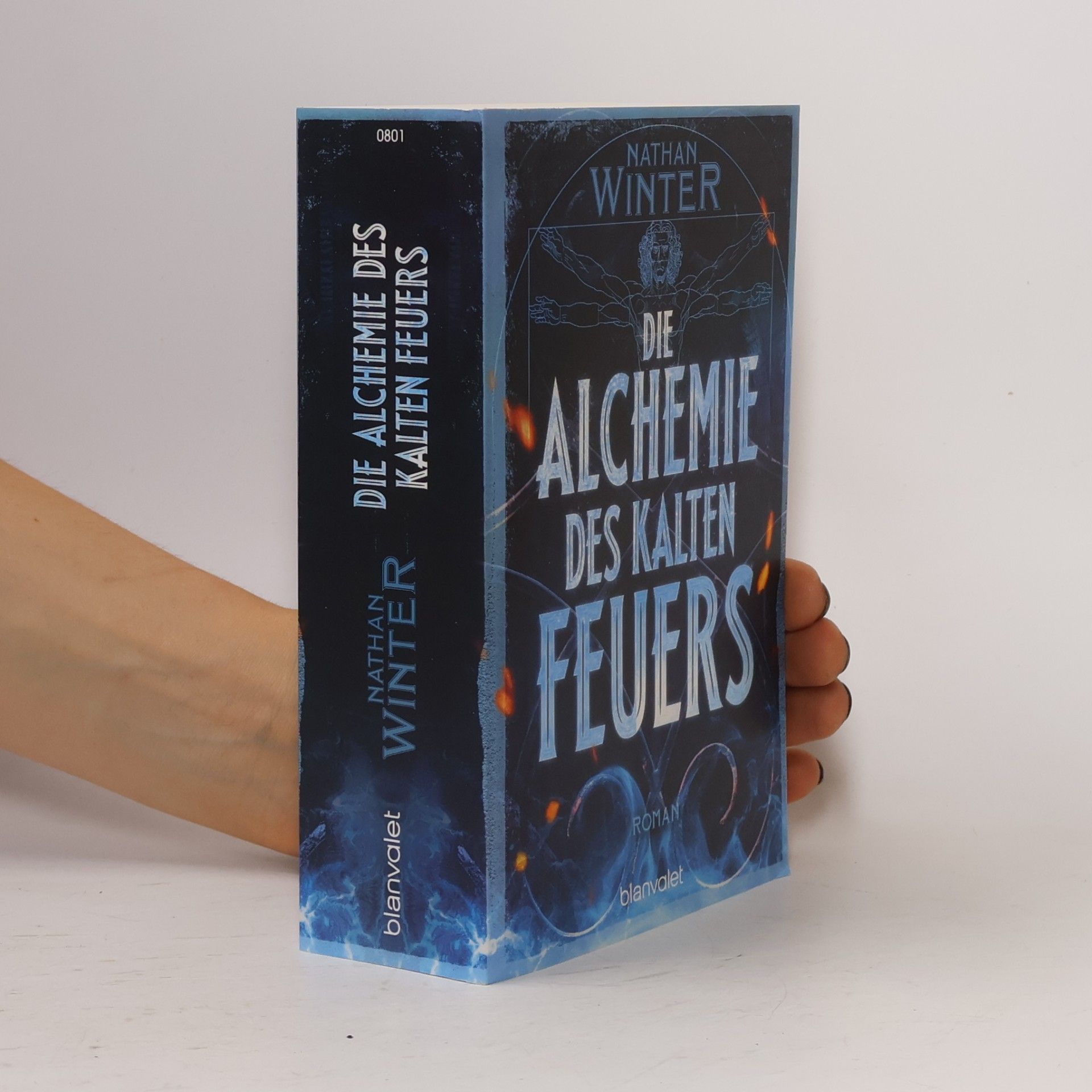 Nathan Winter Die Alchemie des kalten Feuers