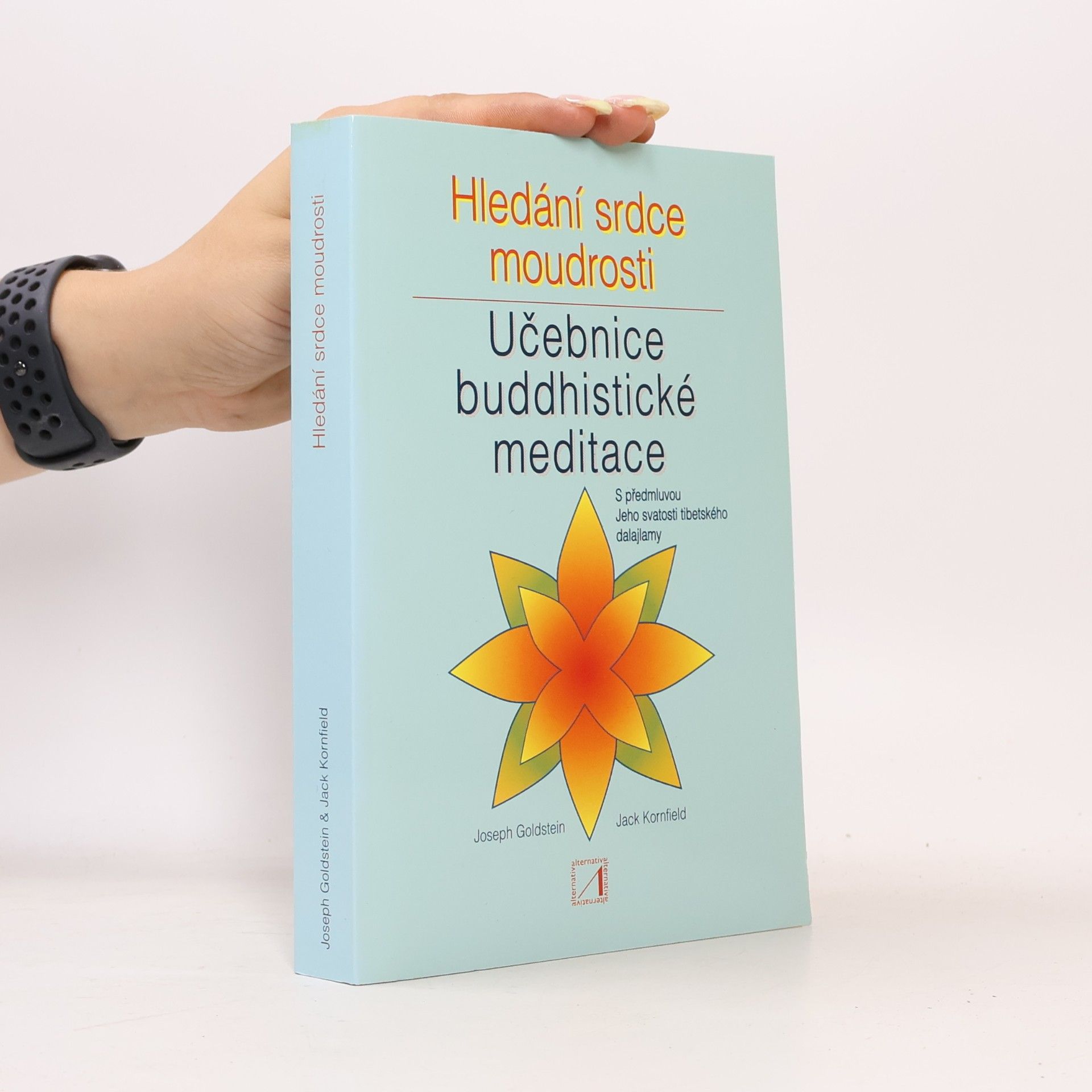 Joseph Goldstein Hledání srdce moudrosti