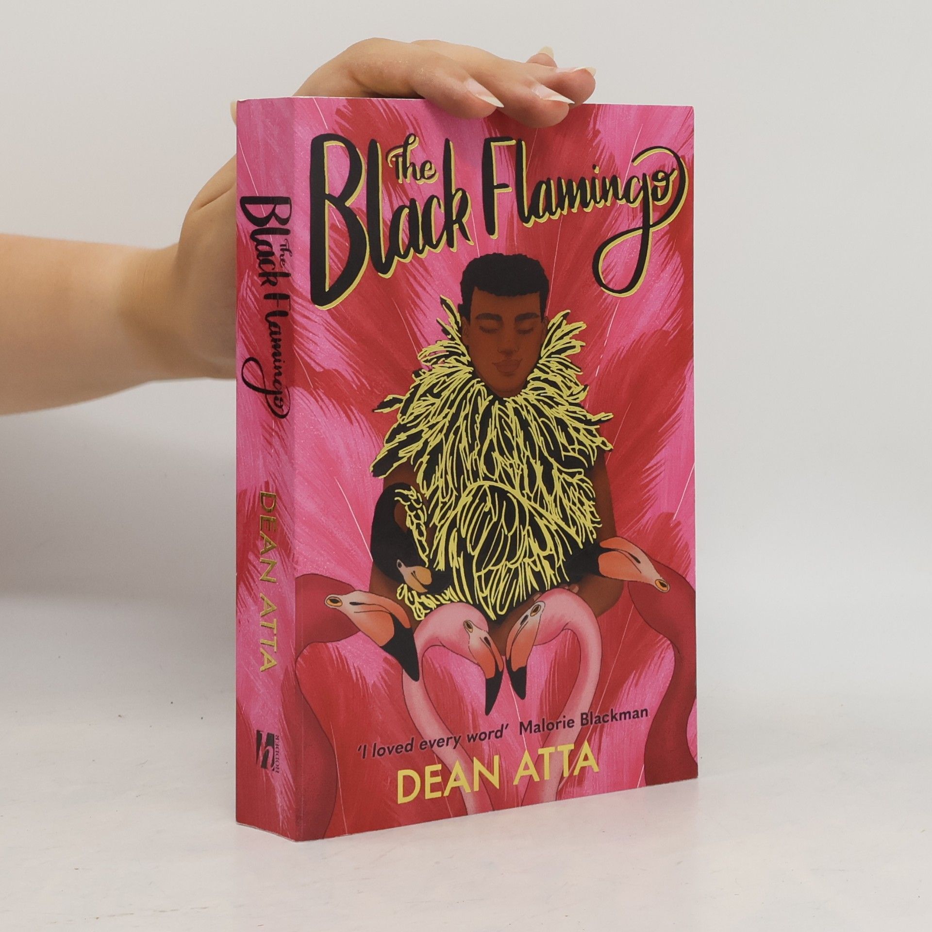 Dean Atta The Black Flamingo