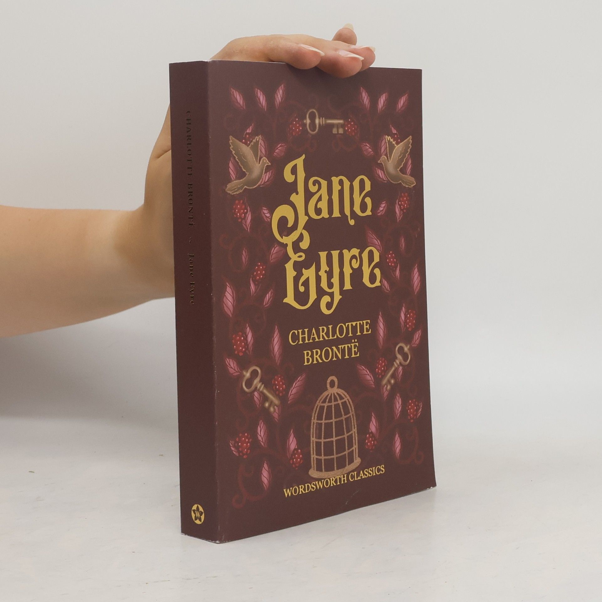 Charlotte Brontëová Jane Eyre