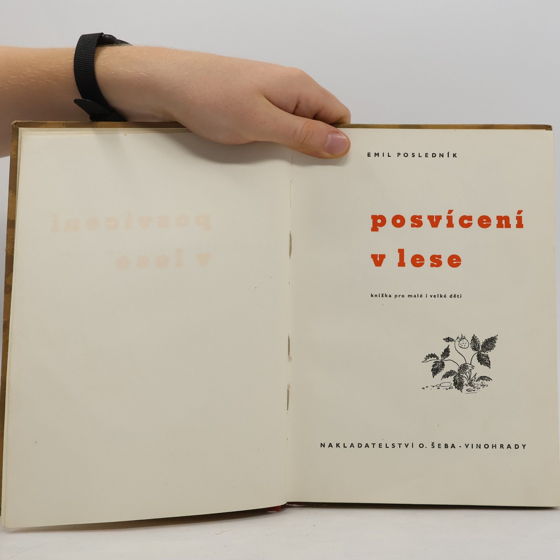 Emil Posledník Posvícení v lese