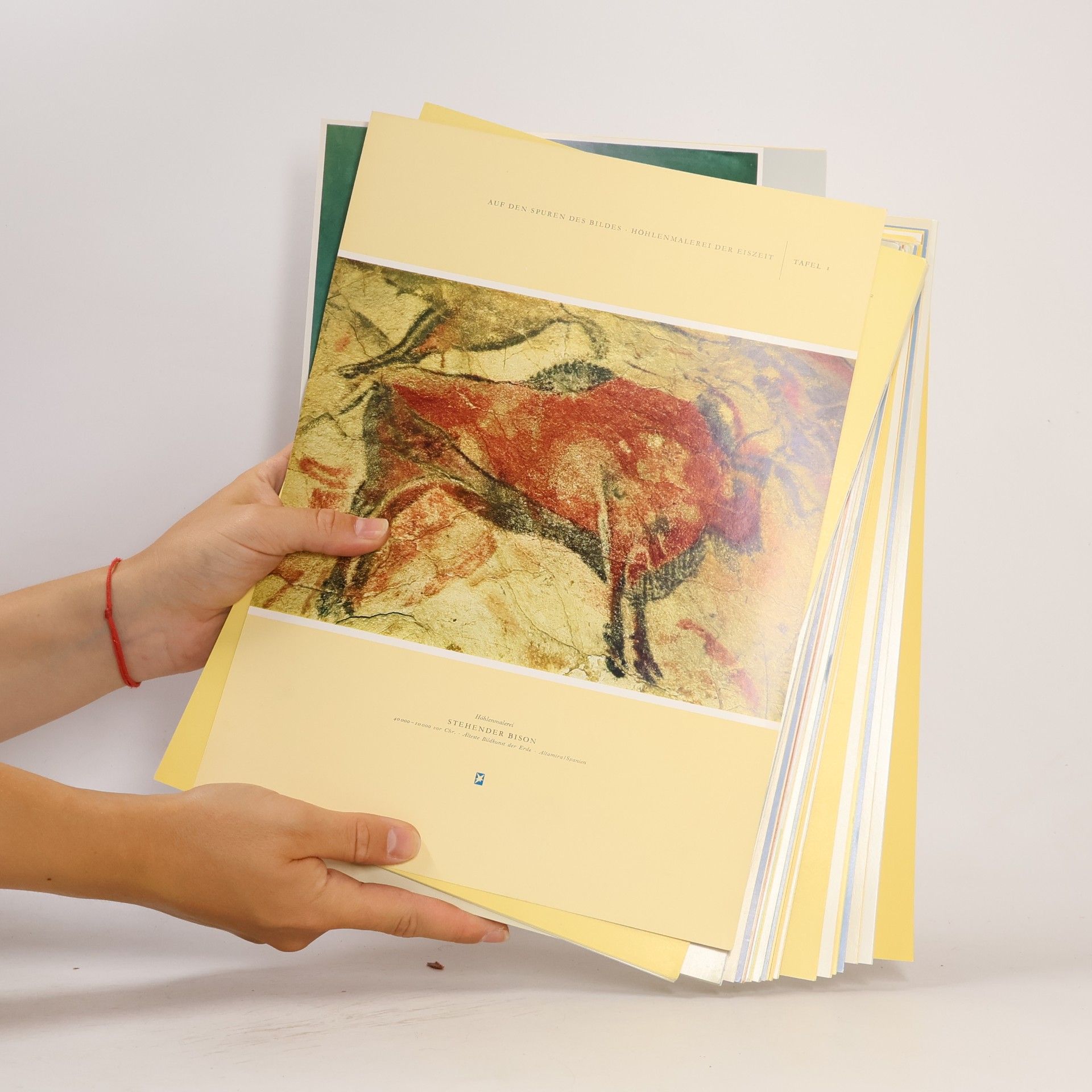 Autorenkollektiv Auf den Spuren des Bildes