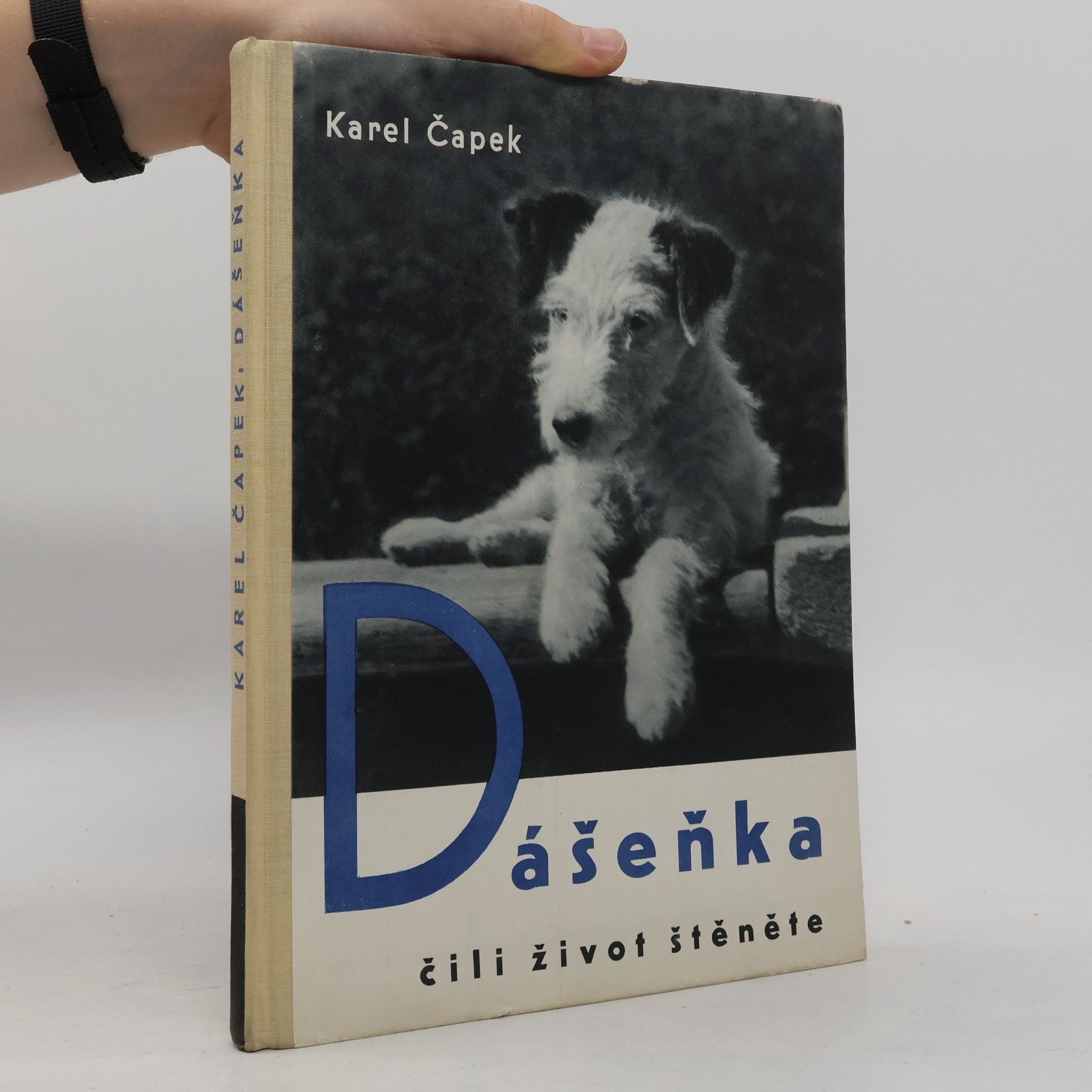 Karel Čapek Dášeňka čili život štěněte