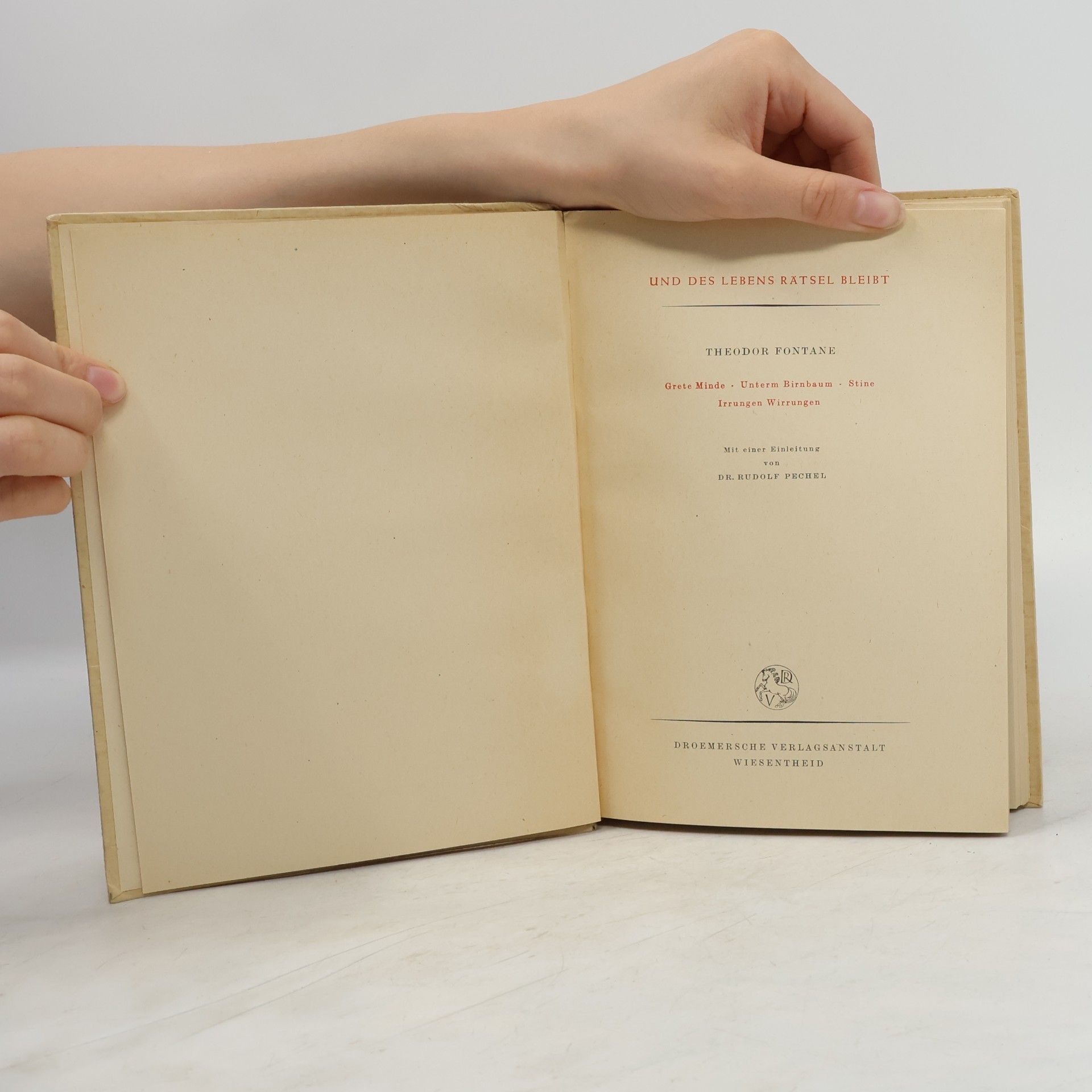Theodor Fontane Und des Lebens Rätsel bleibt