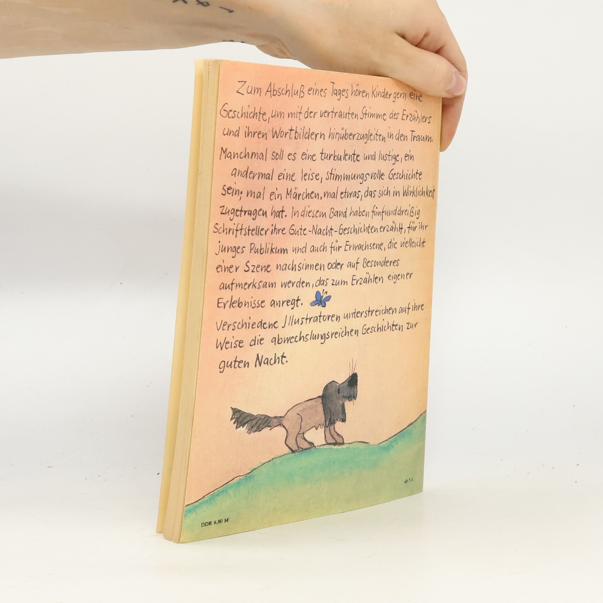 Autorenkollektiv Der blaue Schmetterling