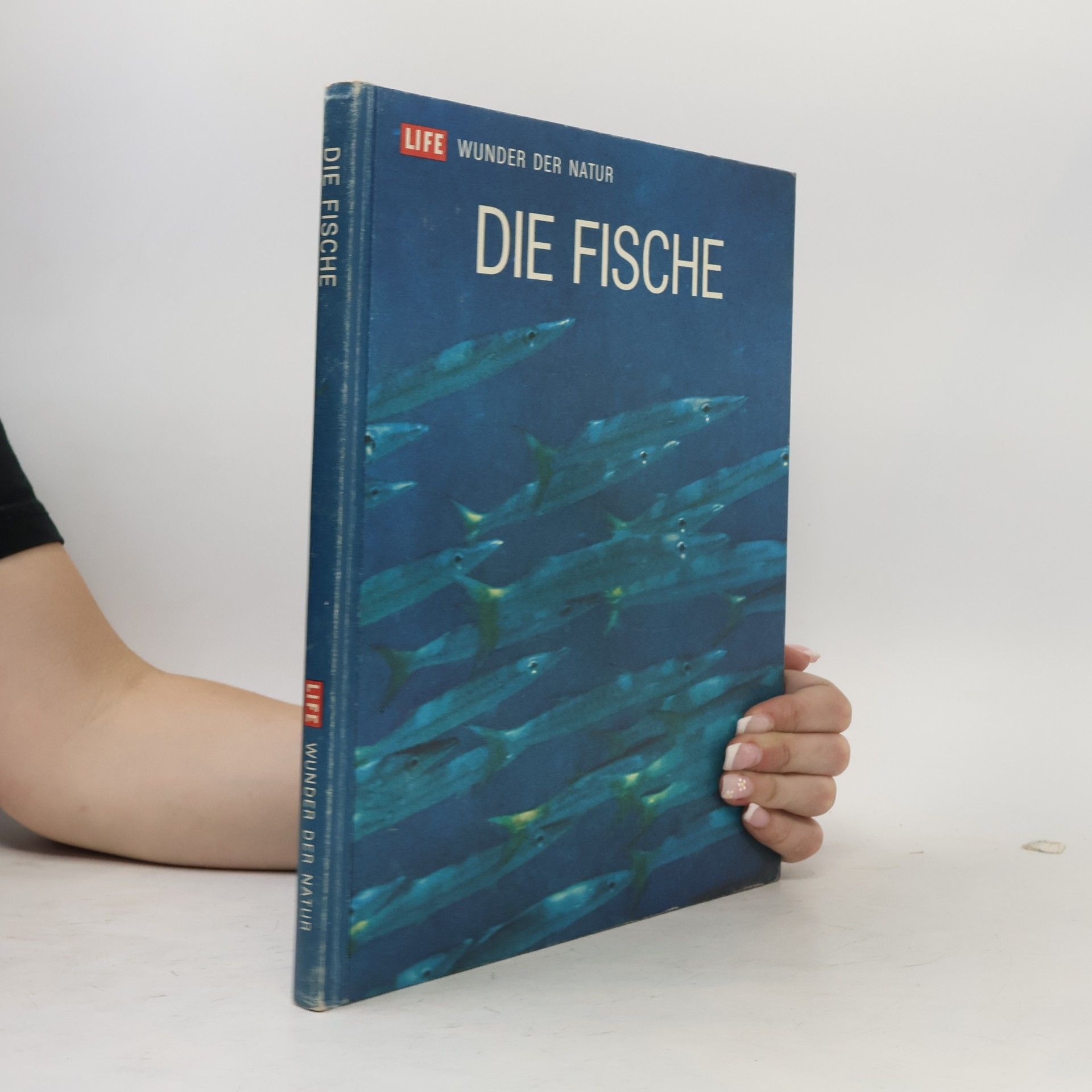 Autorenkollektiv Die Fische