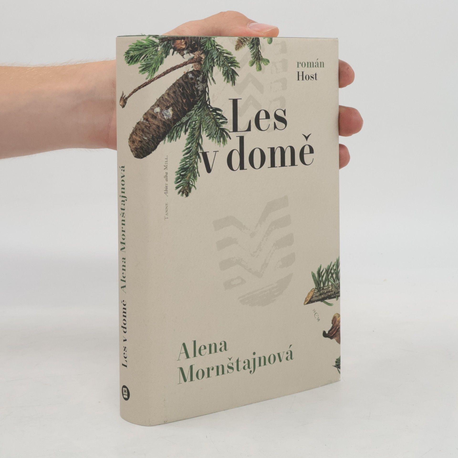 Alena Mornštajnová Les v domě